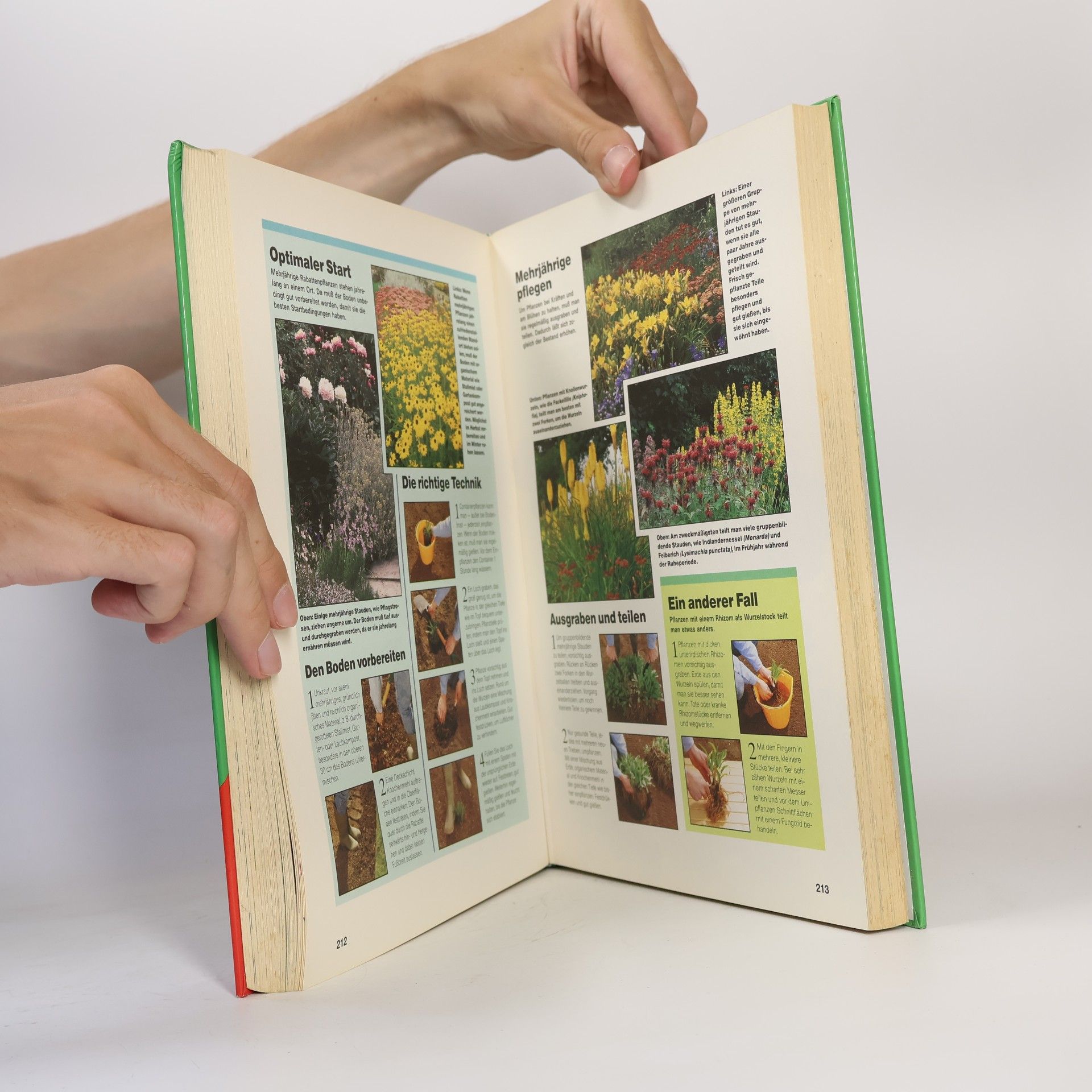 Gabriele Michael Das grosse Buch vom Garten