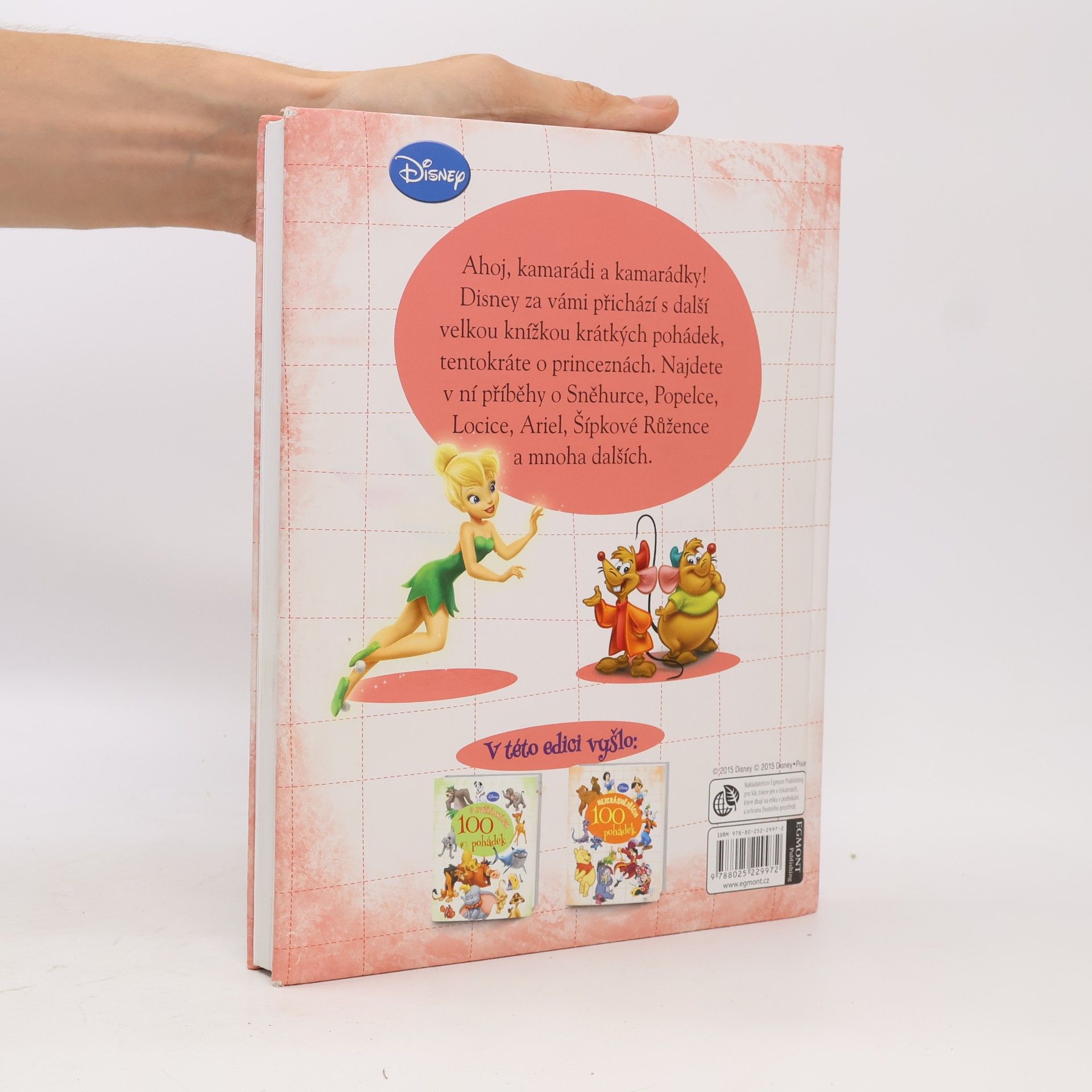 Autorenkollektiv 100 pohádek o princeznách
