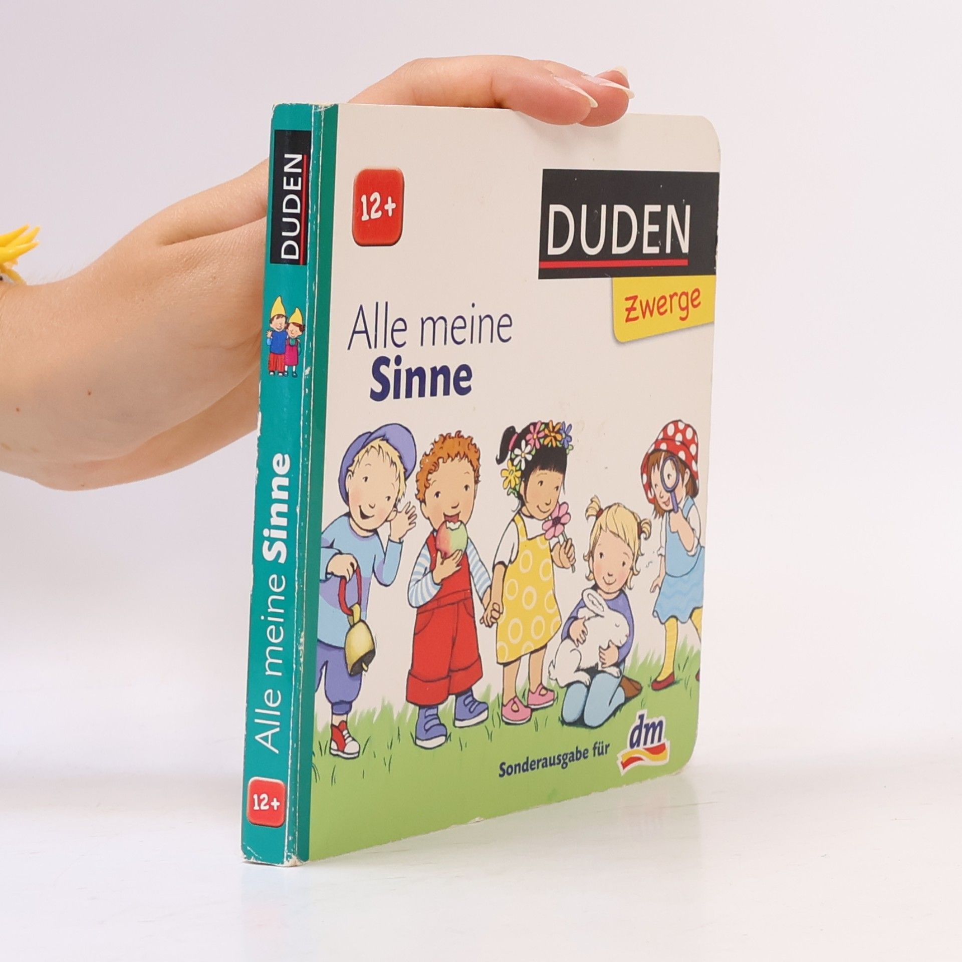 Autorenkollektiv Alle meine Sinne