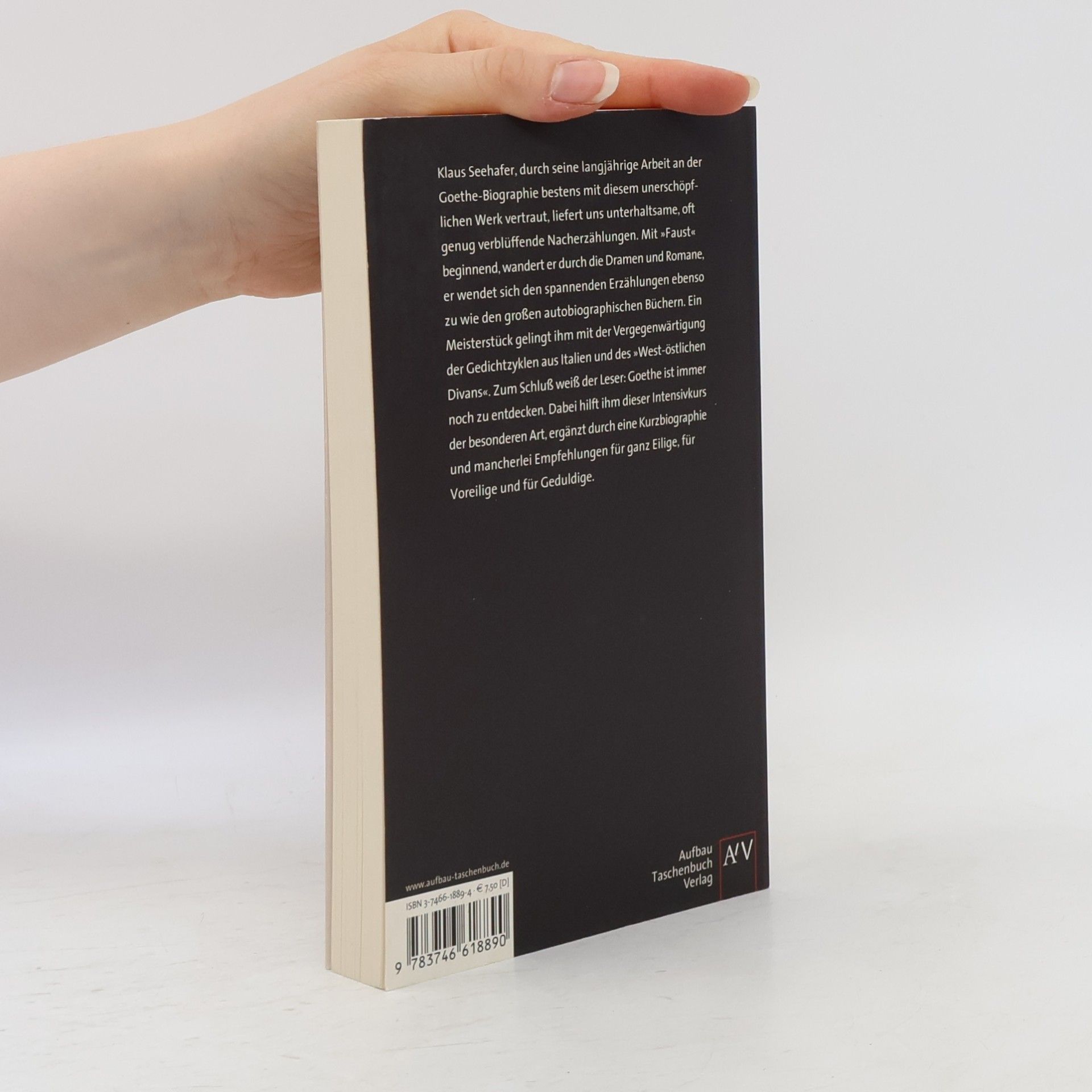 Klaus Seehafer Goethe für Eilige