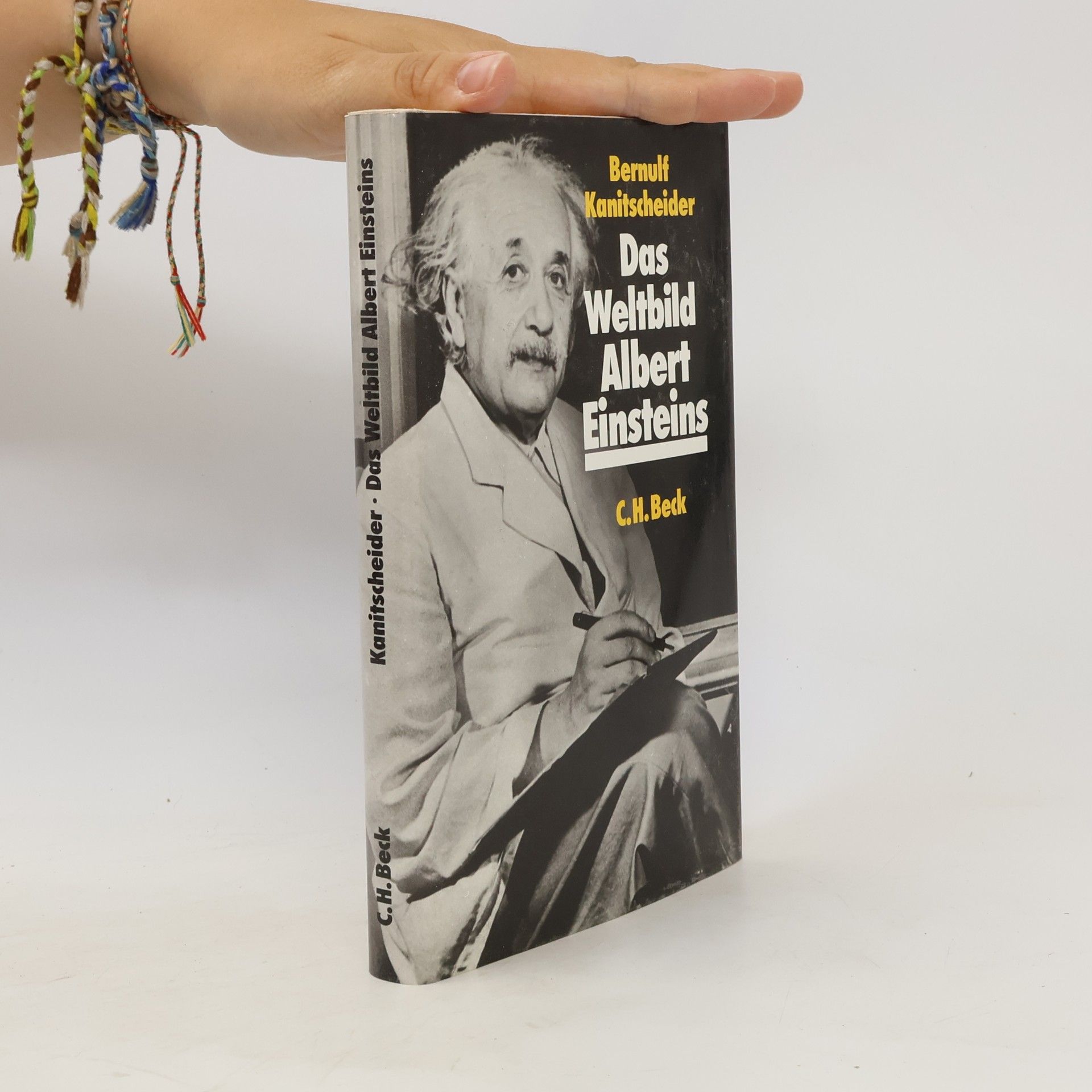 Bernulf Kanitscheider Das Weltbild Albert Einsteins