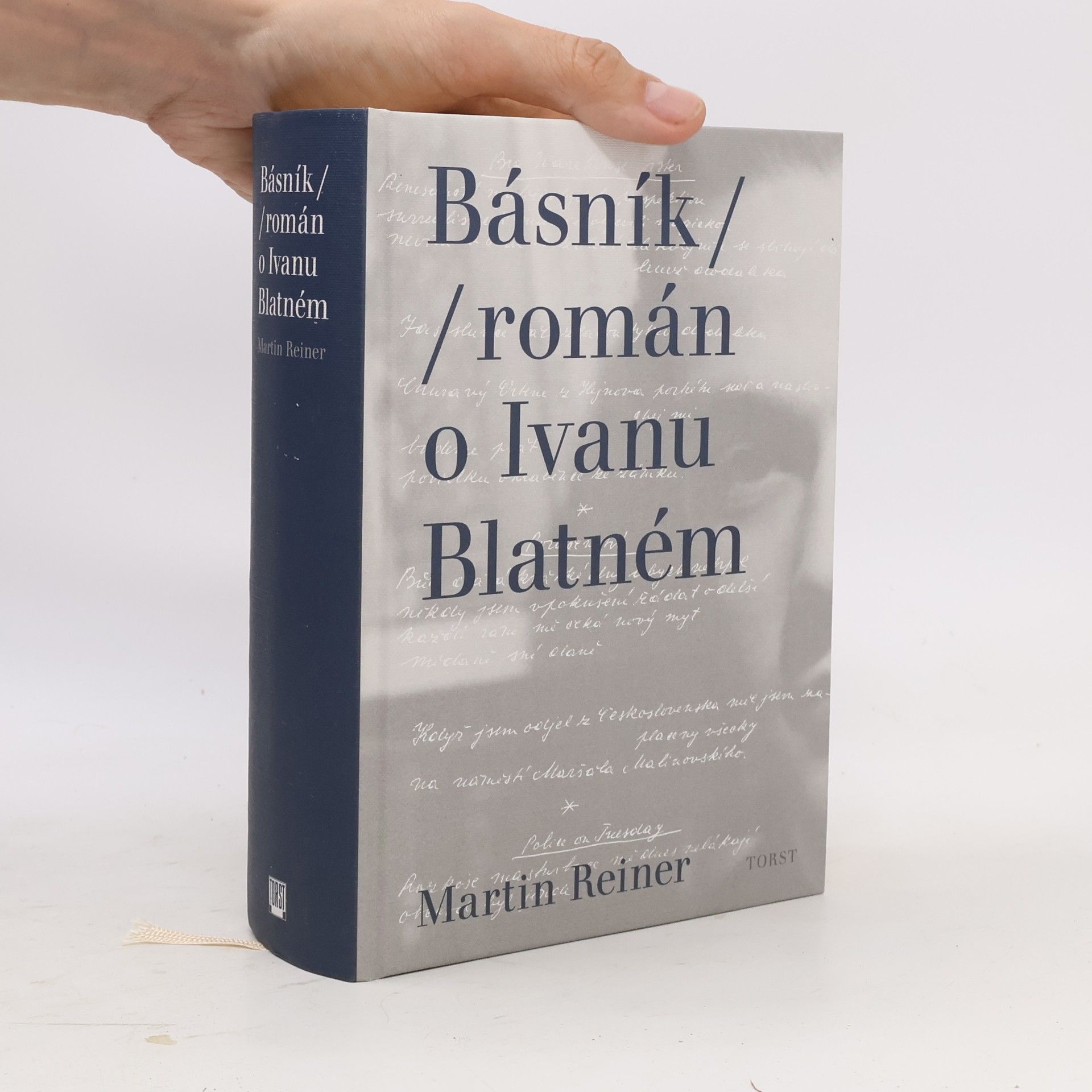 Martin Reiner Básník. Román o Ivanu Blatném