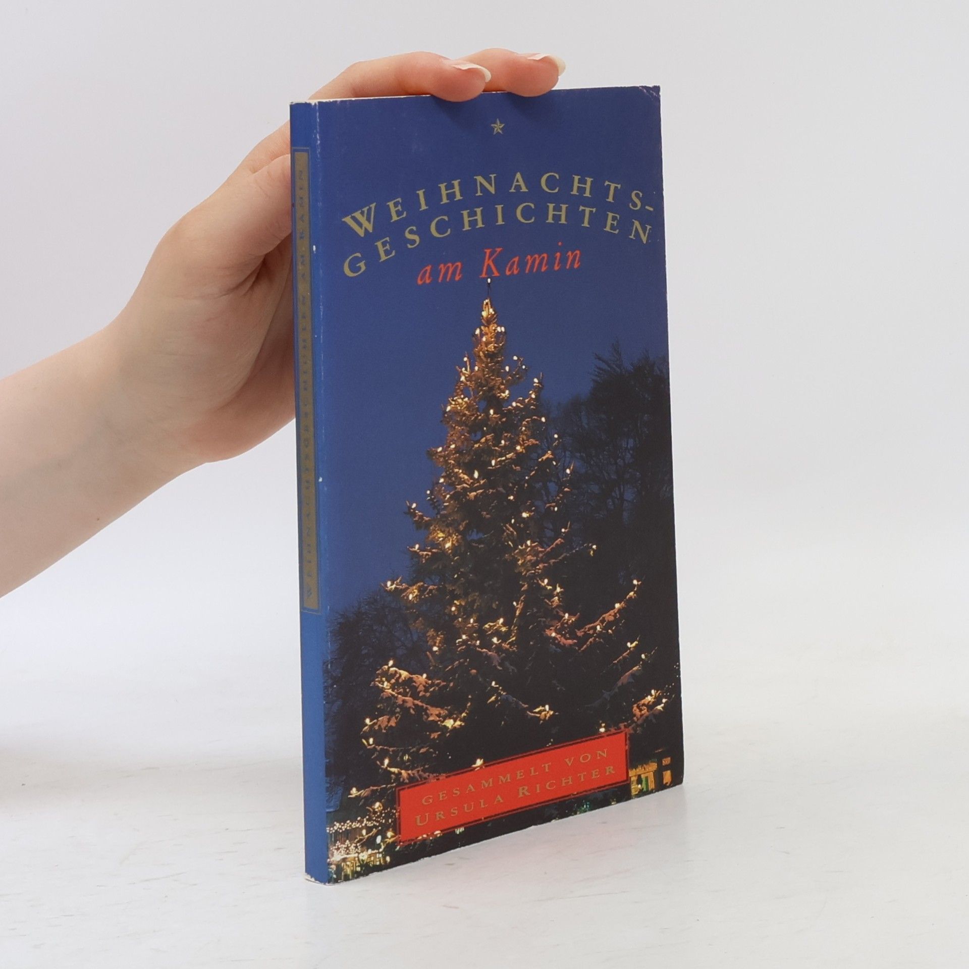 Ursula Richter Weihnachtsgeschichtens am Kamin