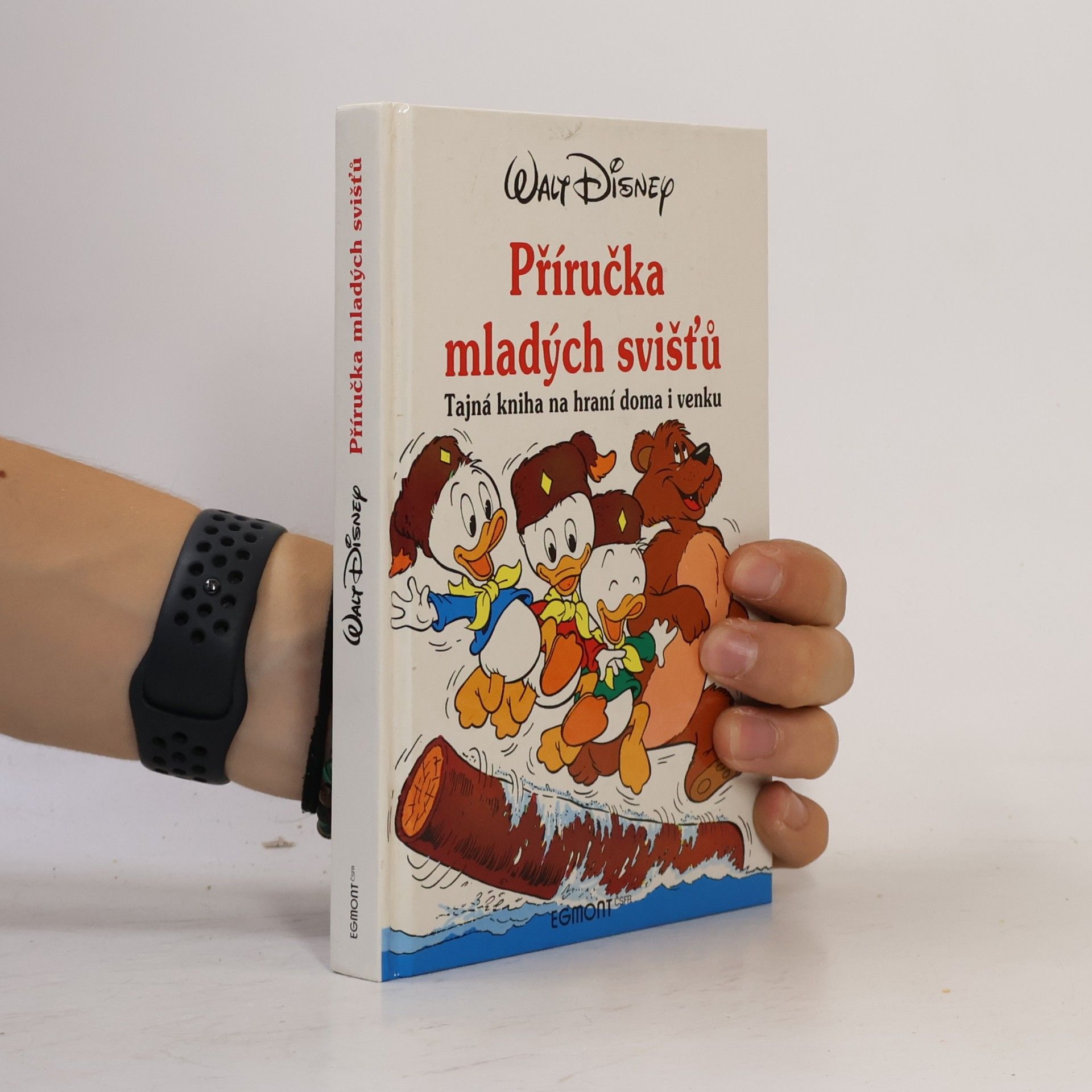Walt Disney Příručka mladých svišťů