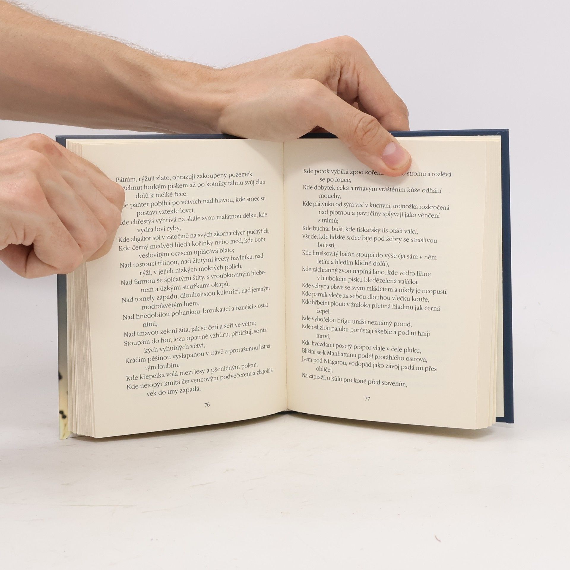 Walt Whitman Stébla trávy