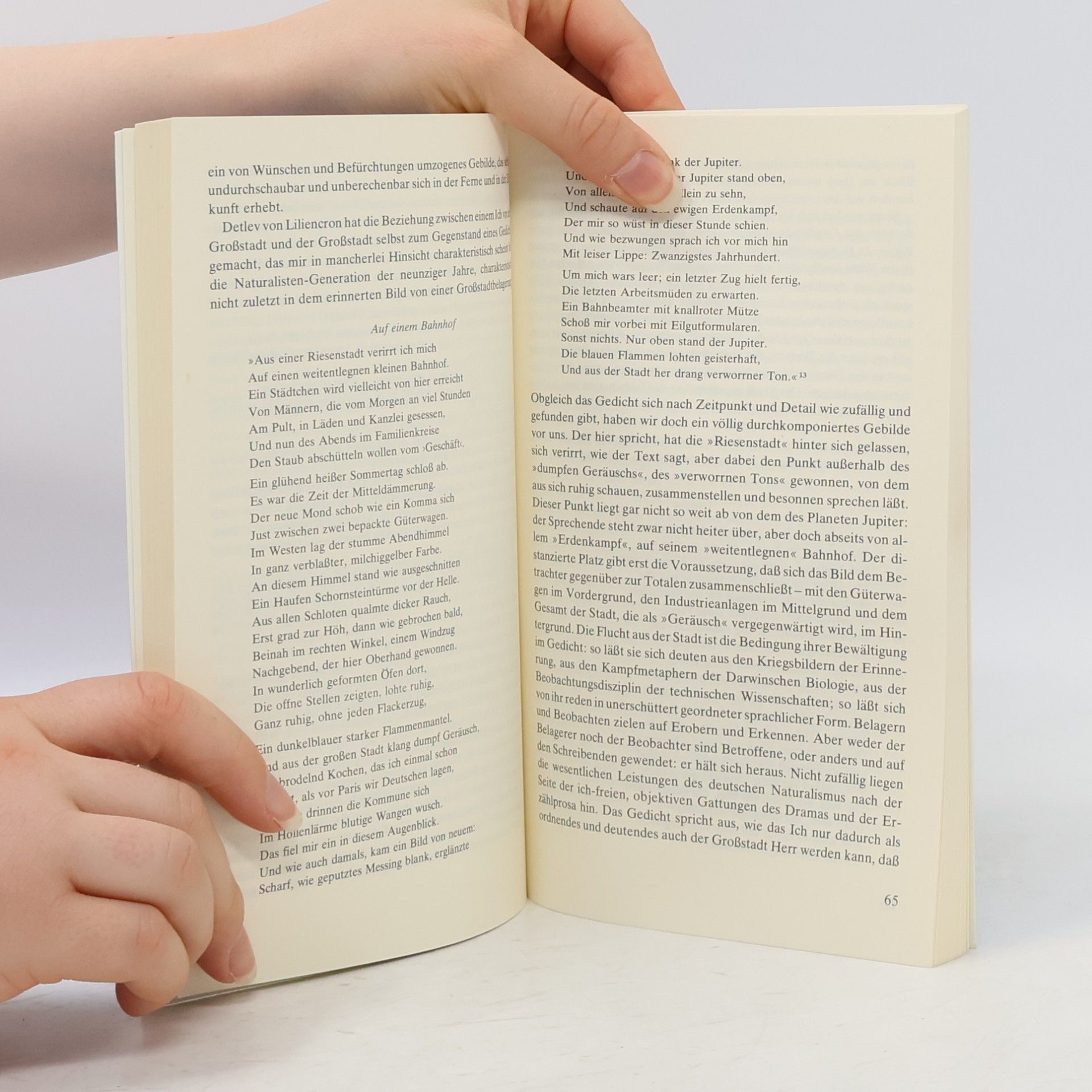 Cord Meckseper Die Stadt in der Literatur