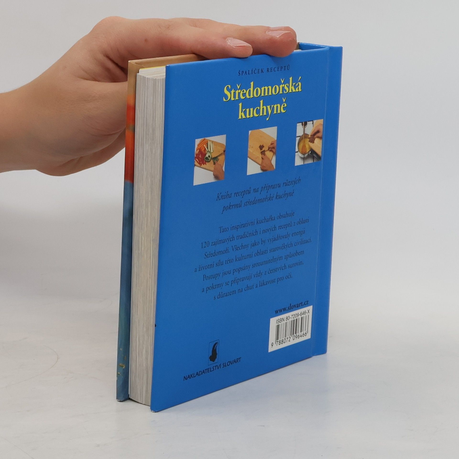 Kolektiv autorů Středomořská kuchyně