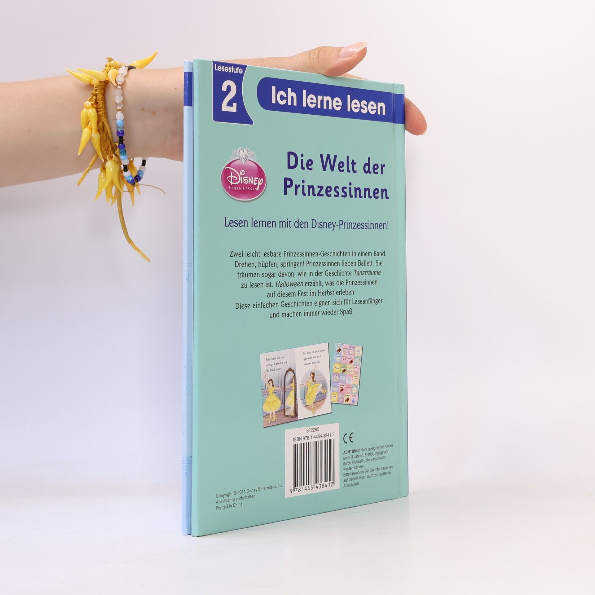 Disney Prinzessin - Die Welt der Prinzessinnen