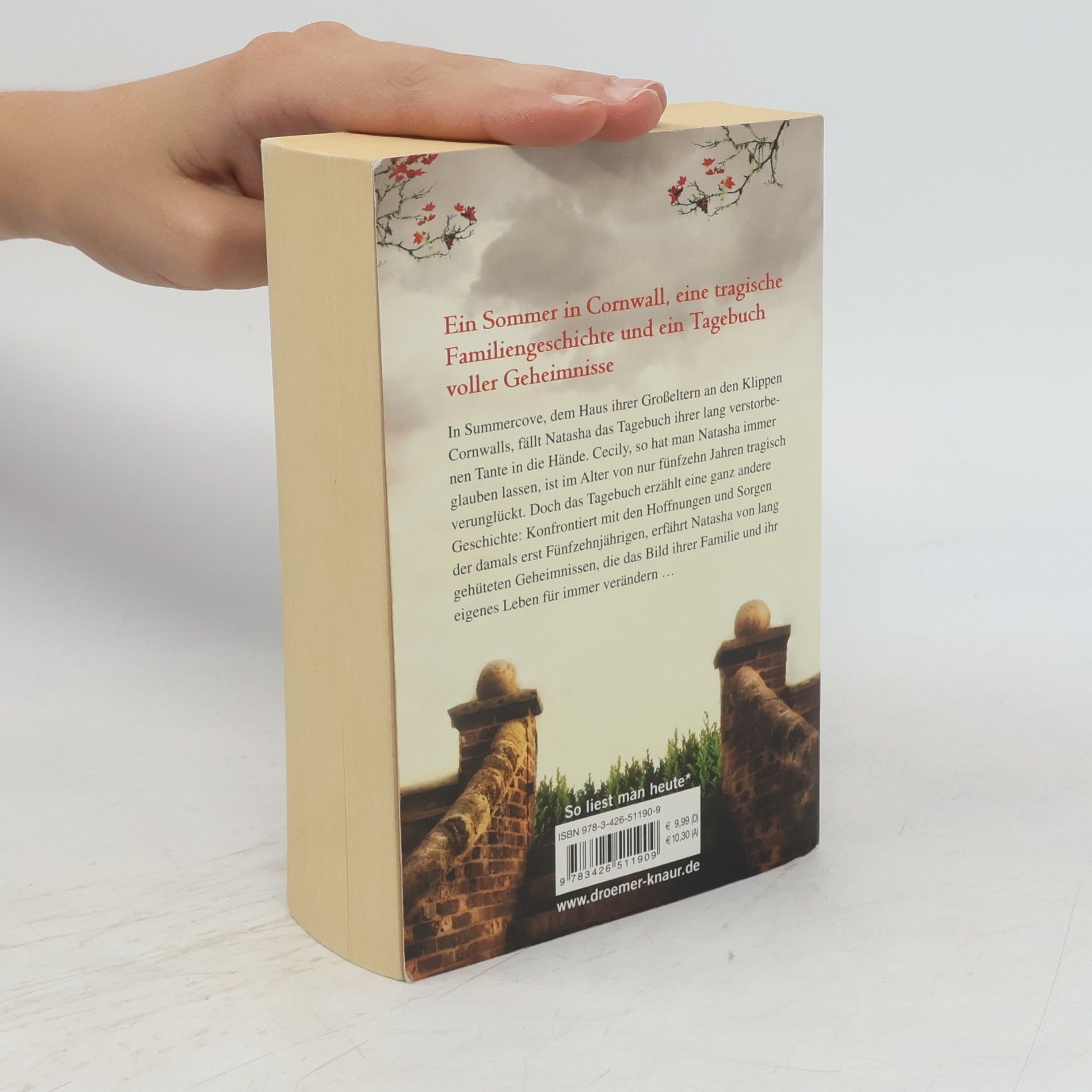 Harriet Evans Das Buch der verborgenen Wünsche