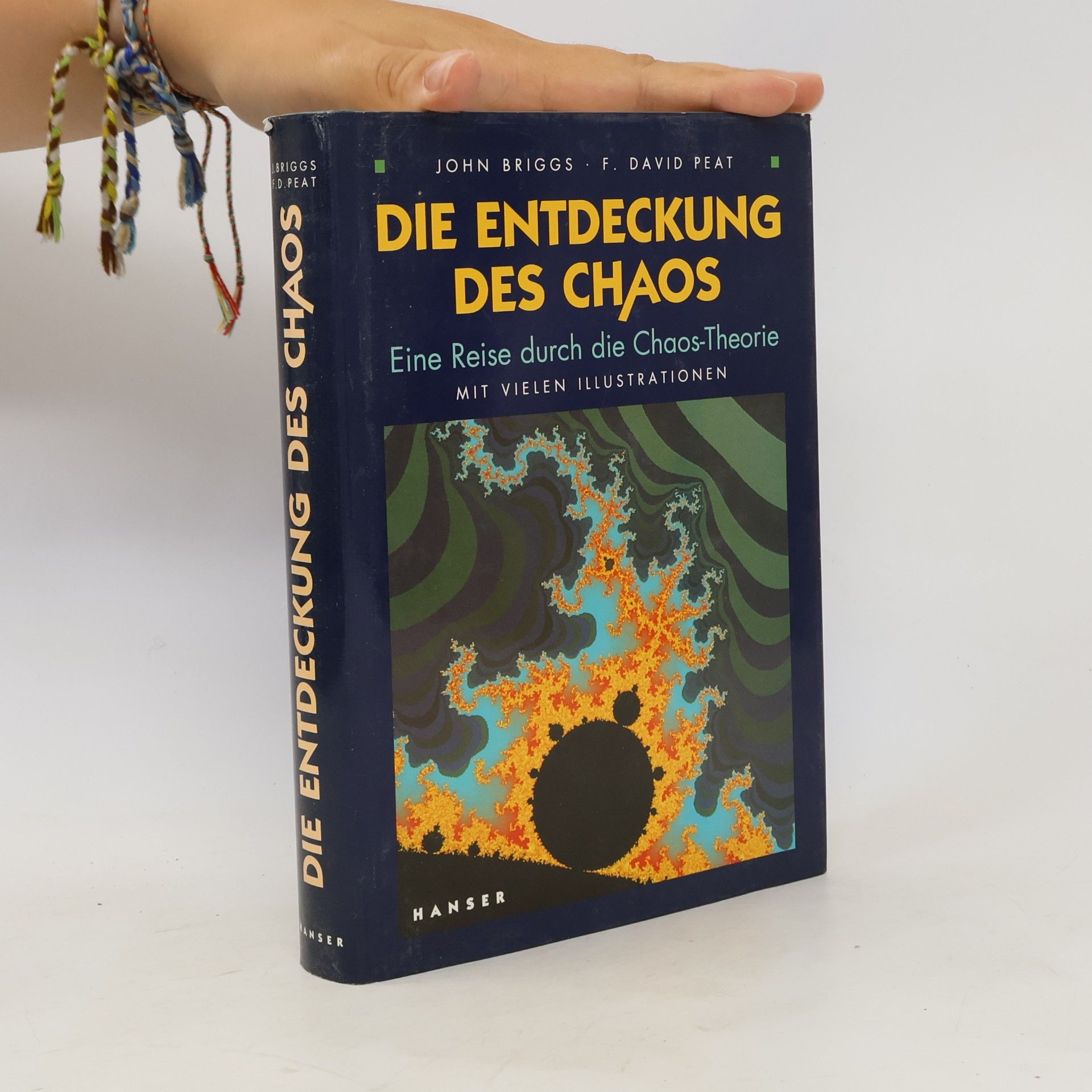 John P. Briggs Die Entdeckung des Chaos