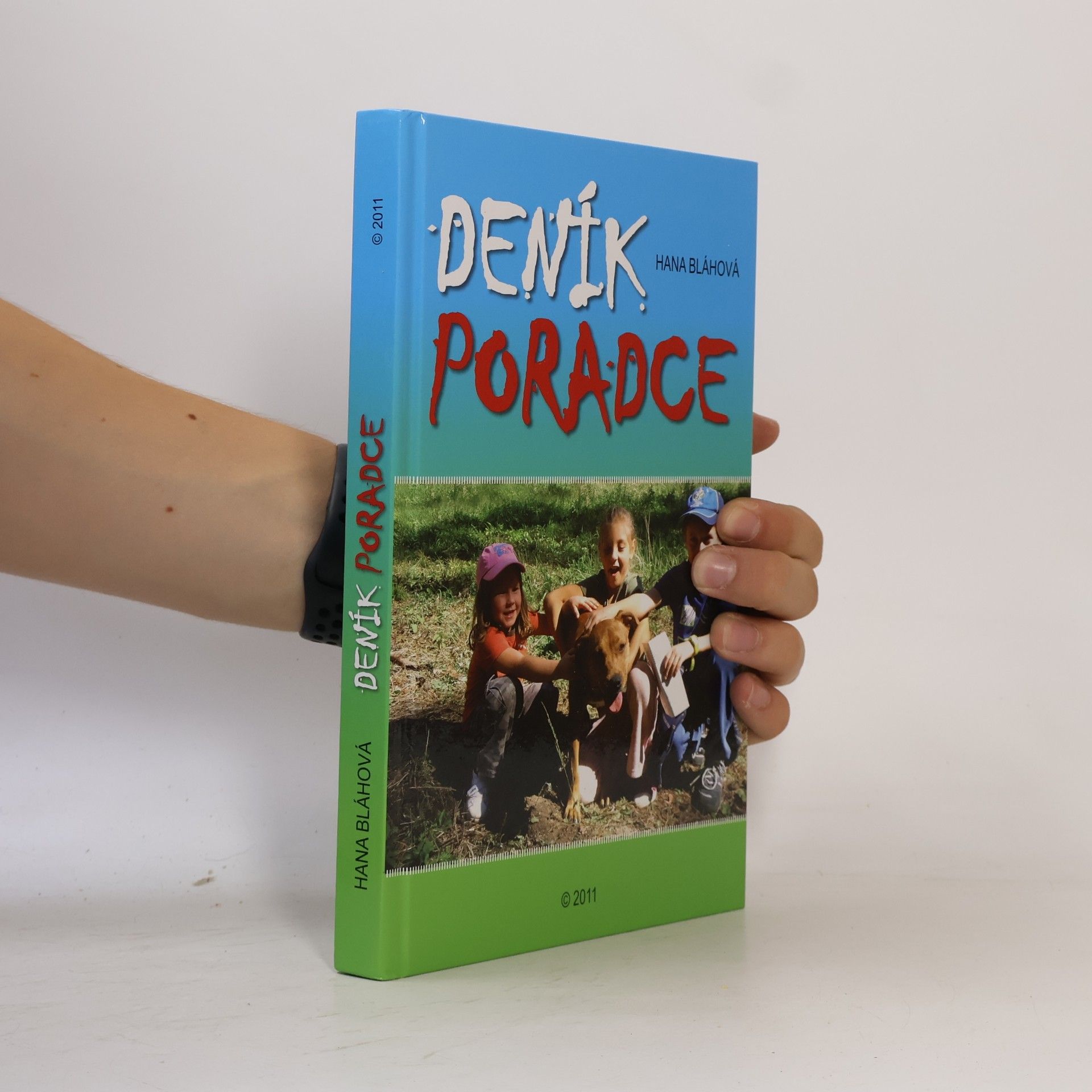 Deník poradce