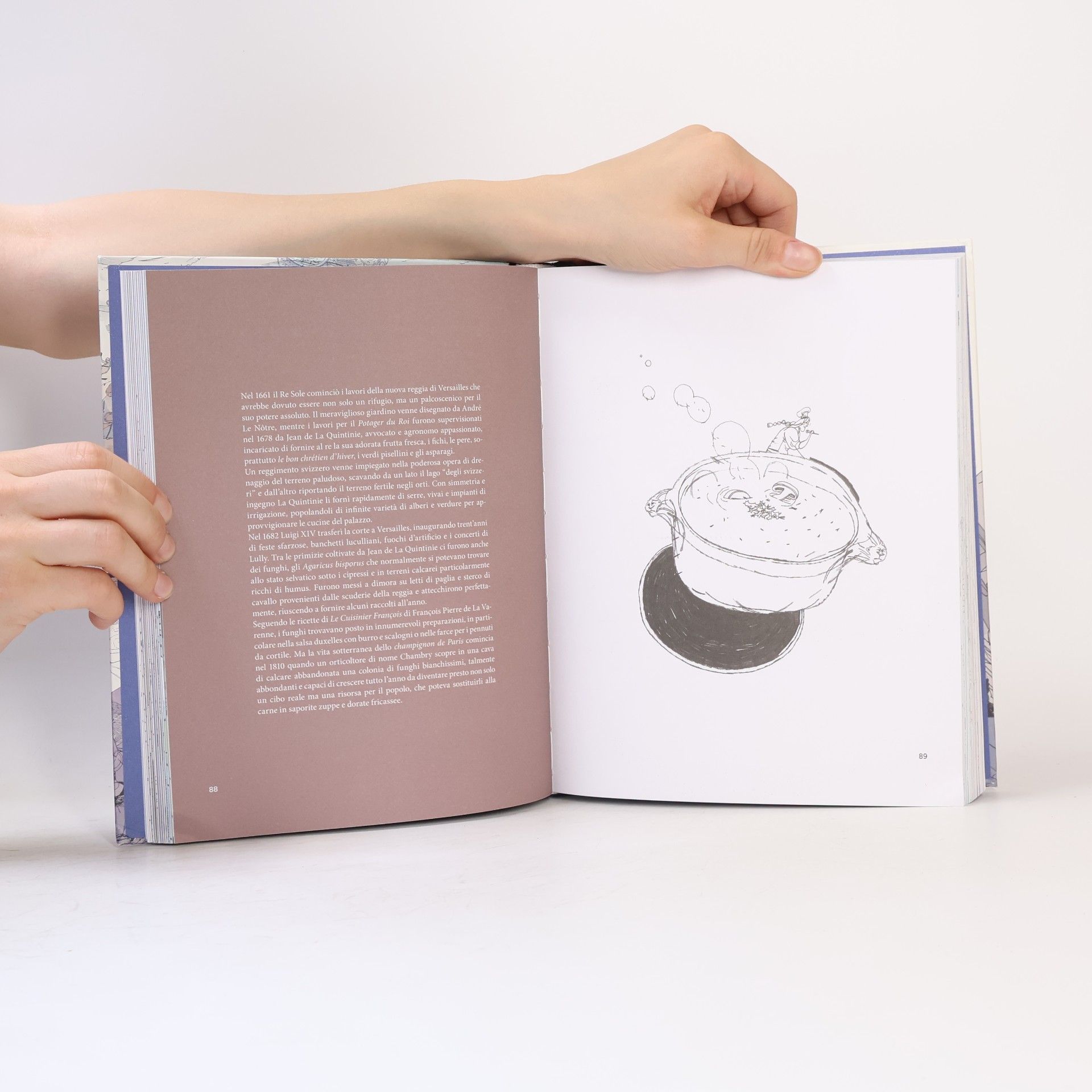 Luigi Ferrando  Cibaria. Curiosità, stranezze, riti intorno al cibo (Slowbook)