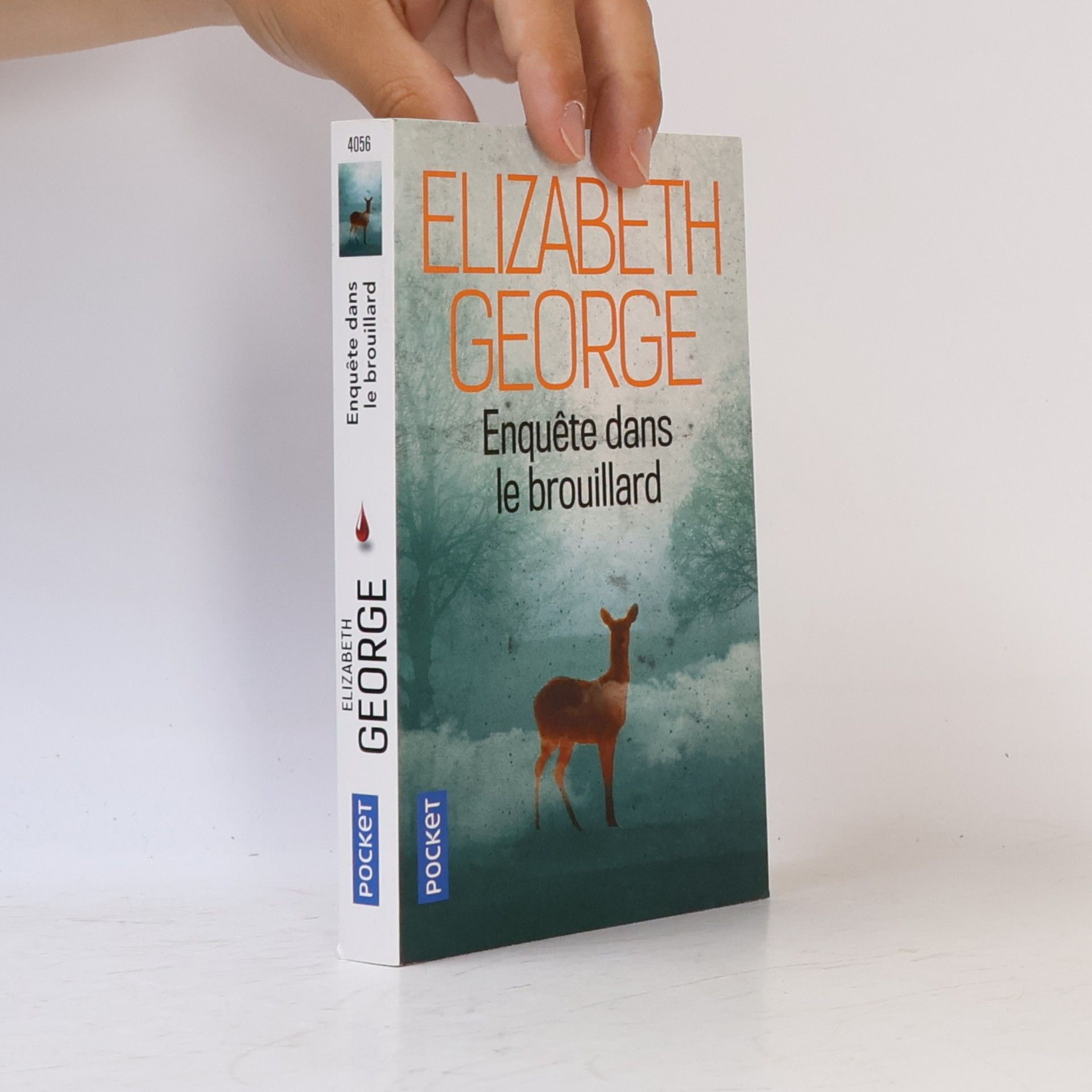 Elizabeth George Enquête dans le brouillard