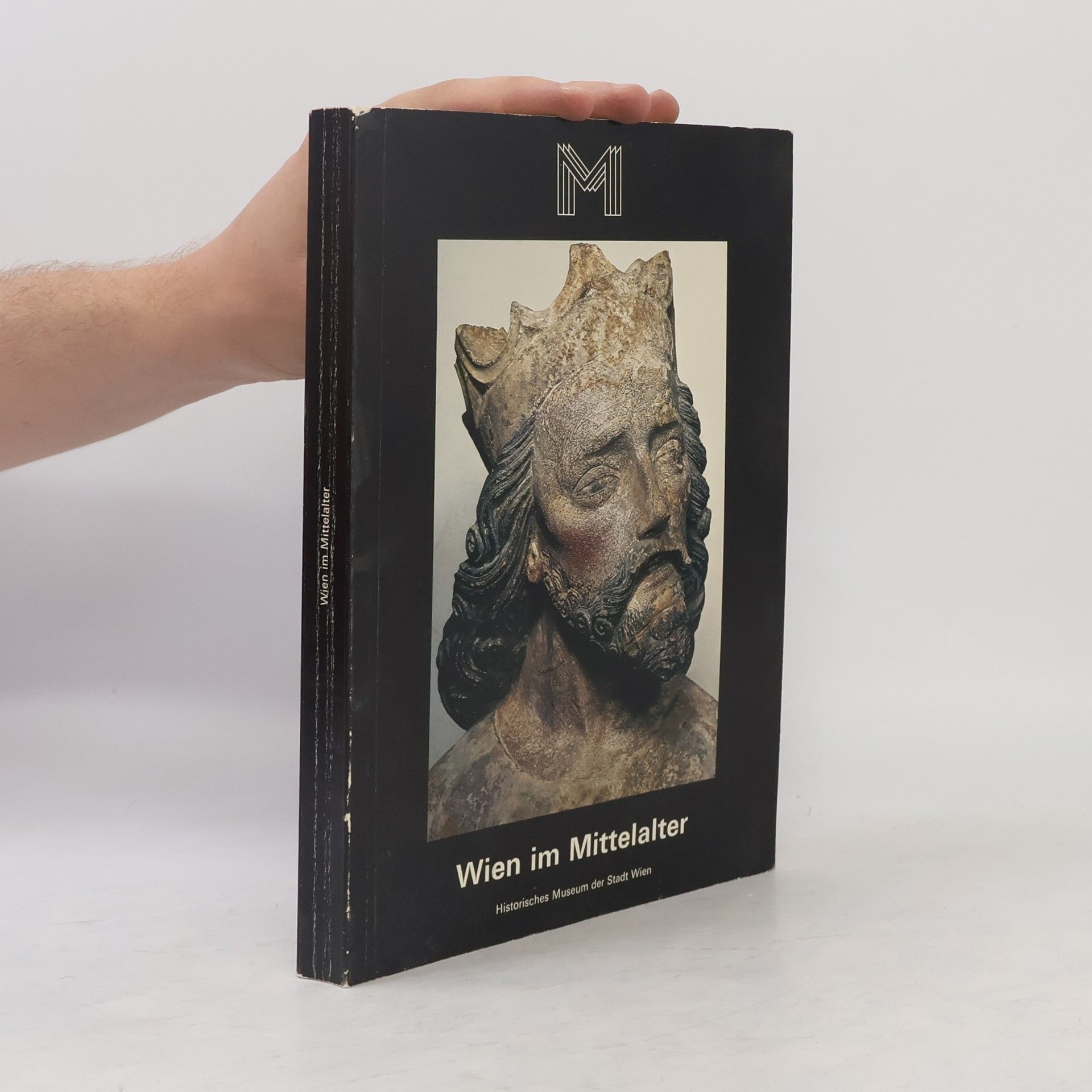 Various authors Wien im Mittelalter