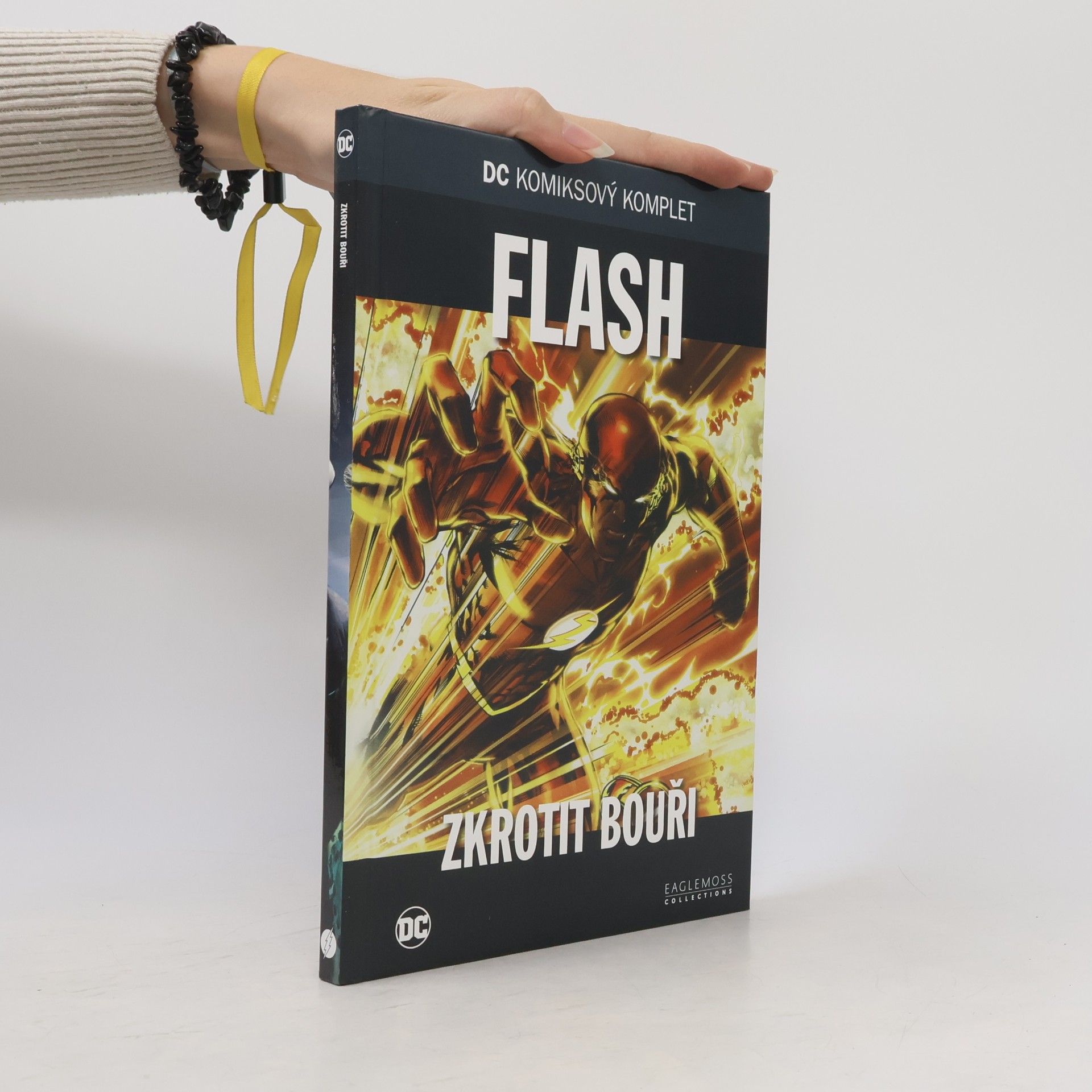 Danny Bilson Flash. Zkrotit bouři