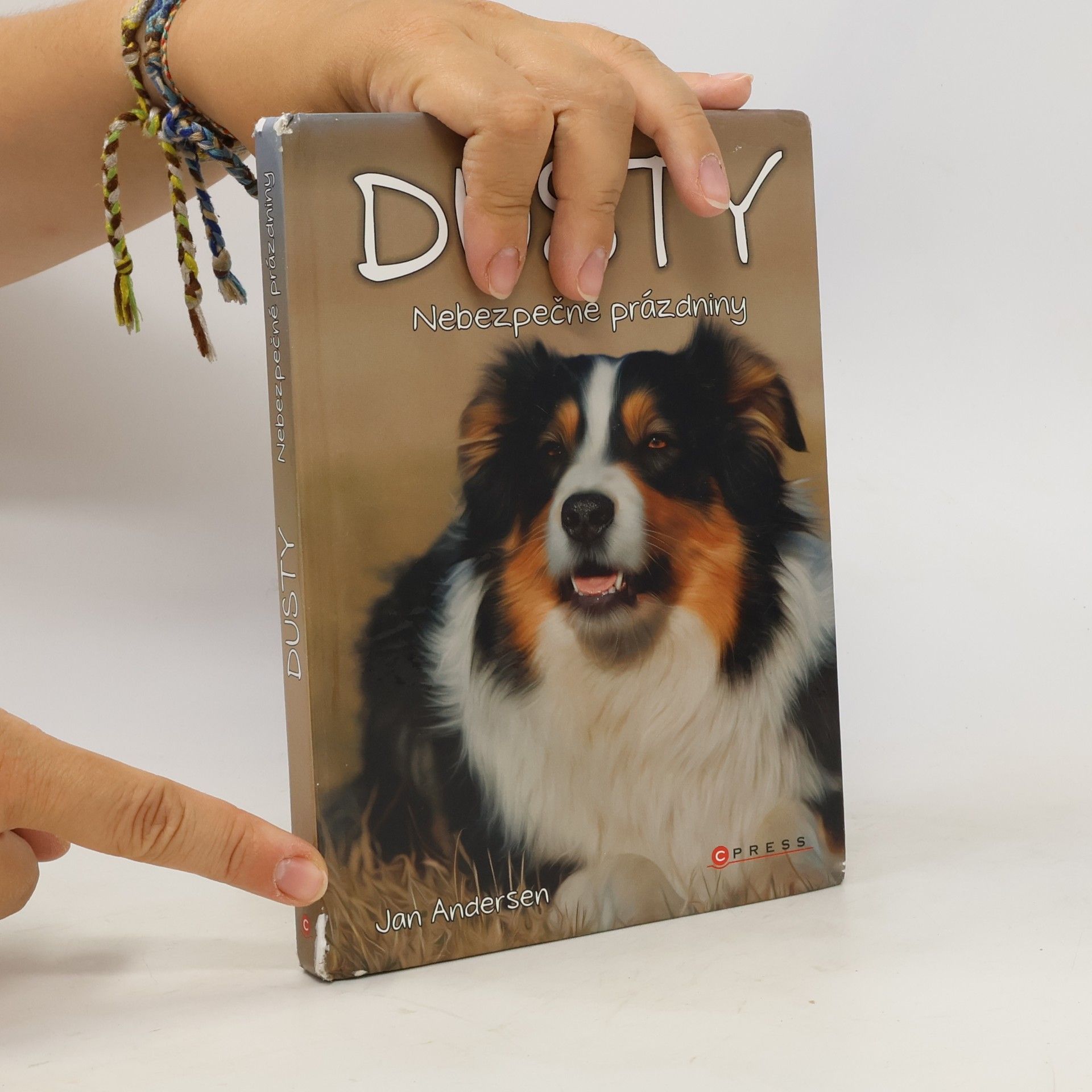Wolfram Hänel Dusty: Nebezpečné prázdniny