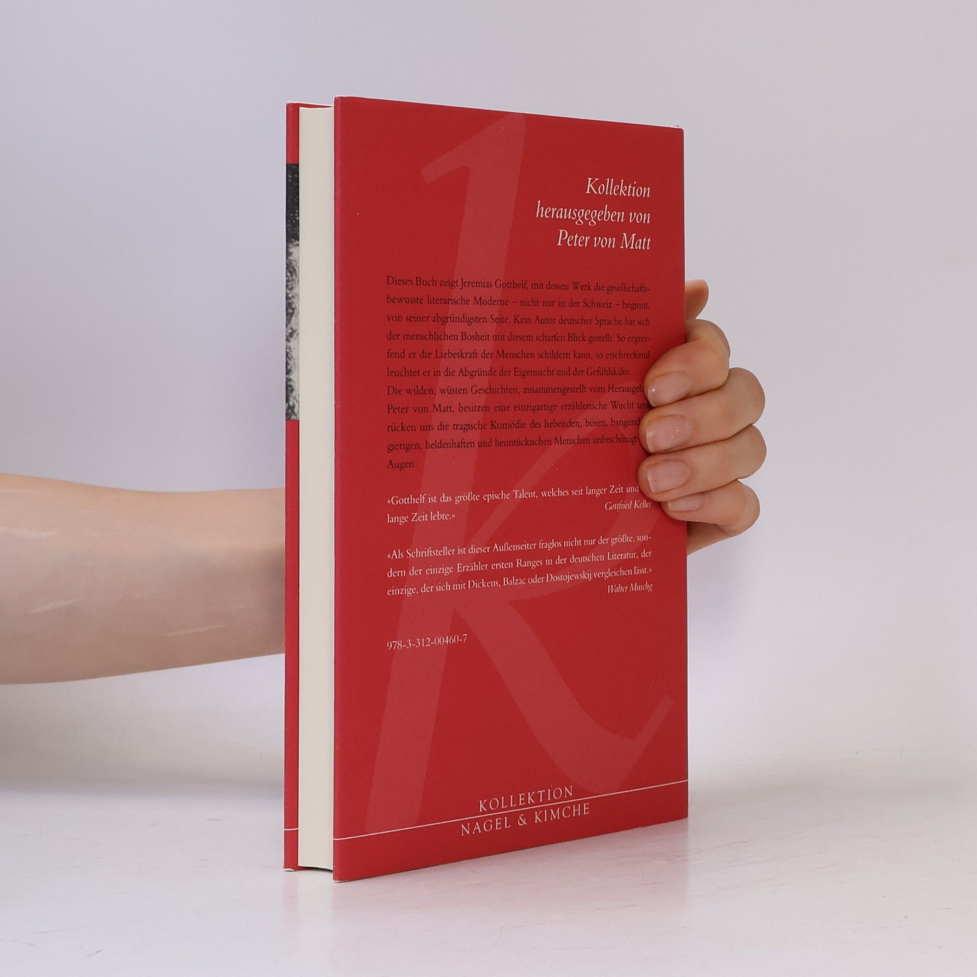 Jeremias Gotthelf Wilde, wüste Geschichten