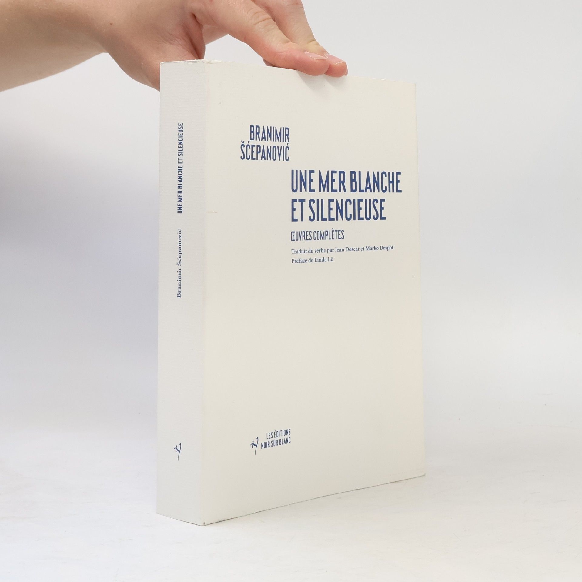 Marko Despot Une mer blanche et silencieuse