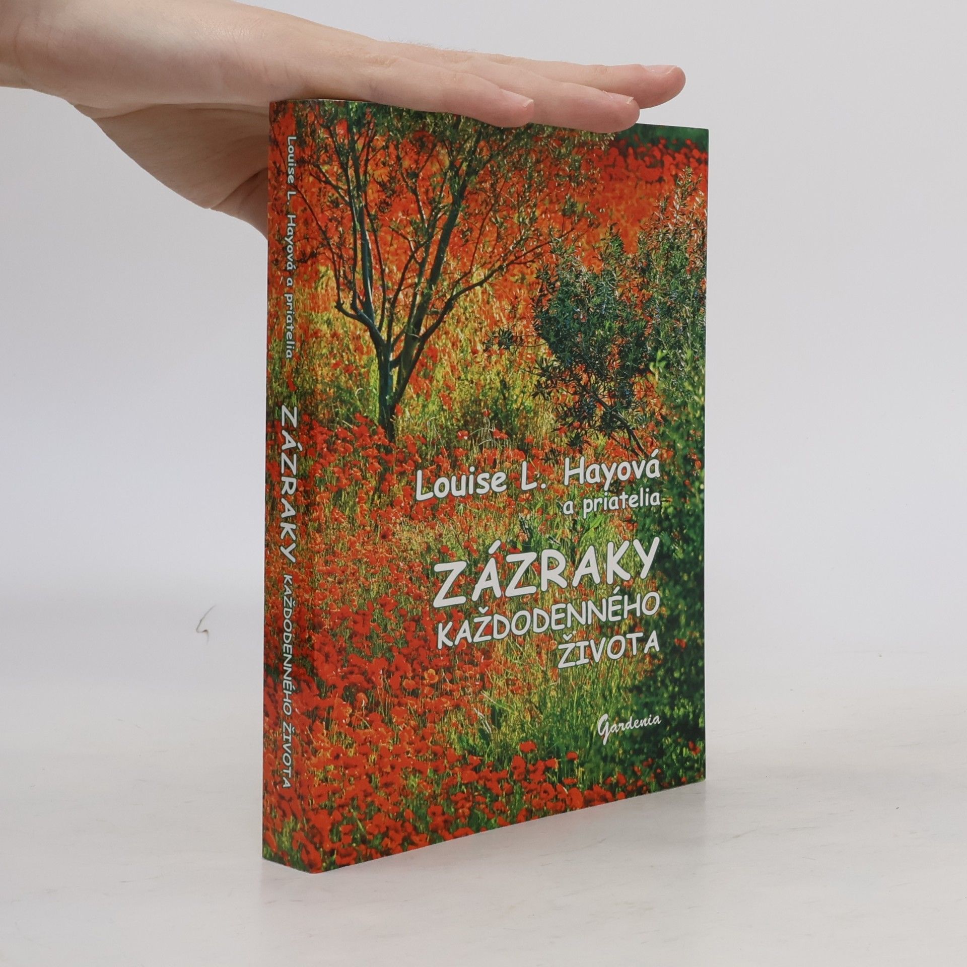 Louise Lynn Hay Zázraky každodenného života