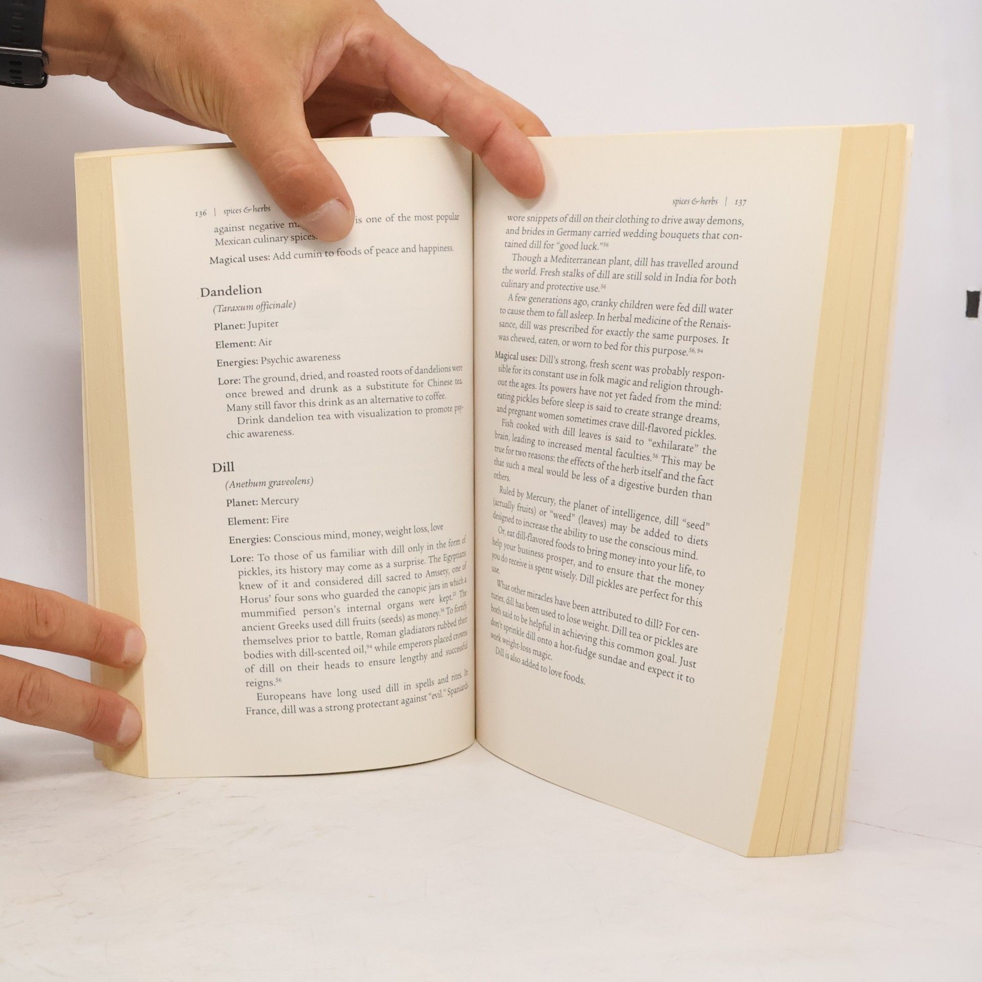 Scott Cunningham Cunningham's Encyclopedia of Wicca in the Kitchen