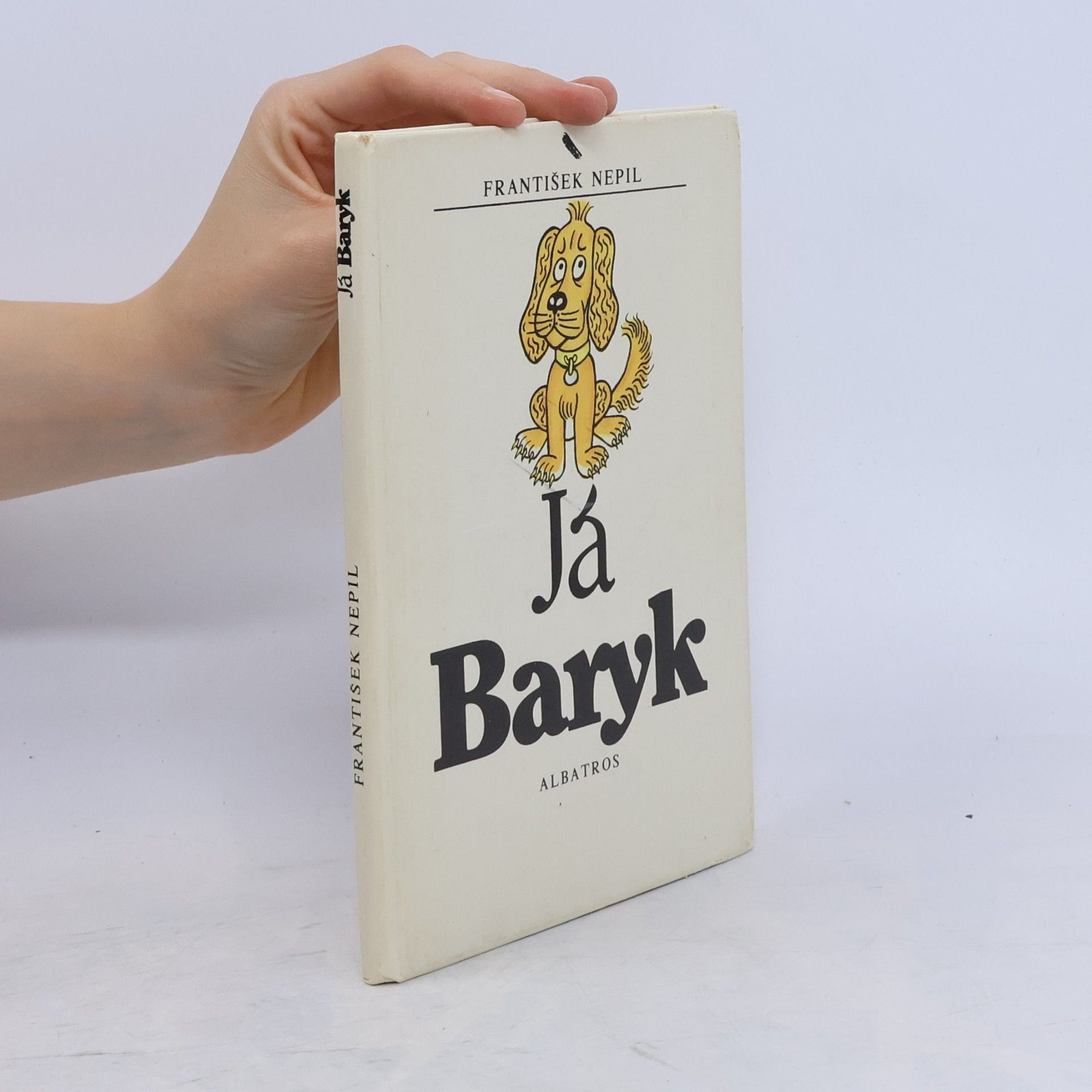 Já Baryk