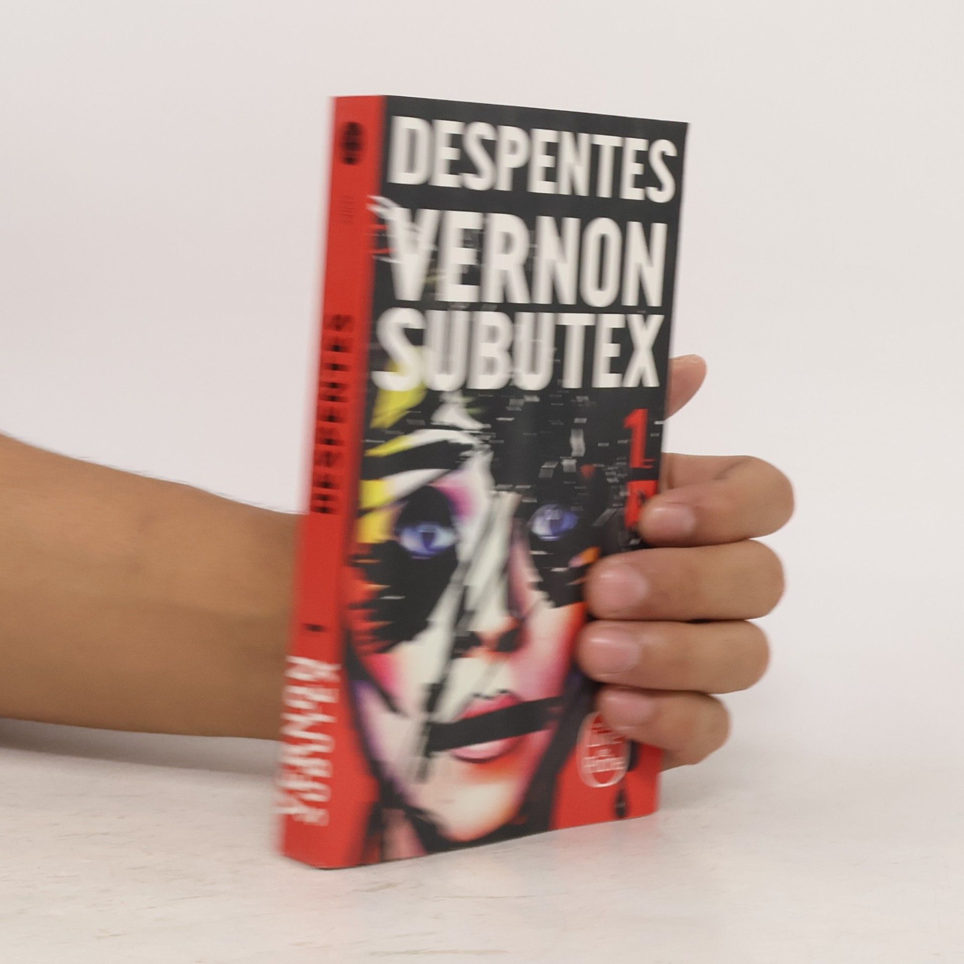 Virginie Despentes Vernon Subutex 1