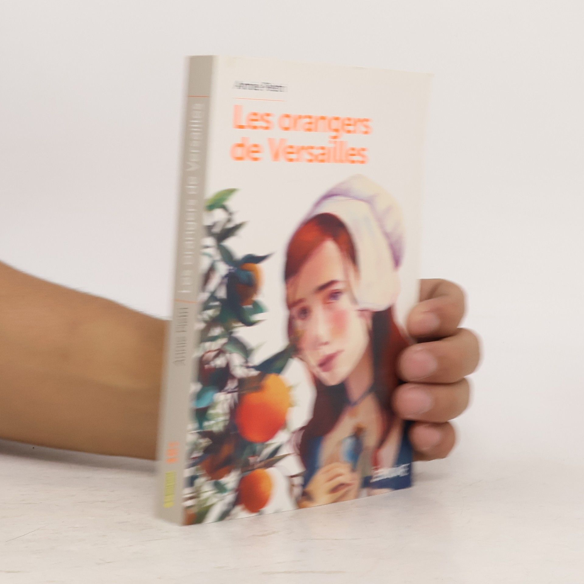 Les orangers de Versailles