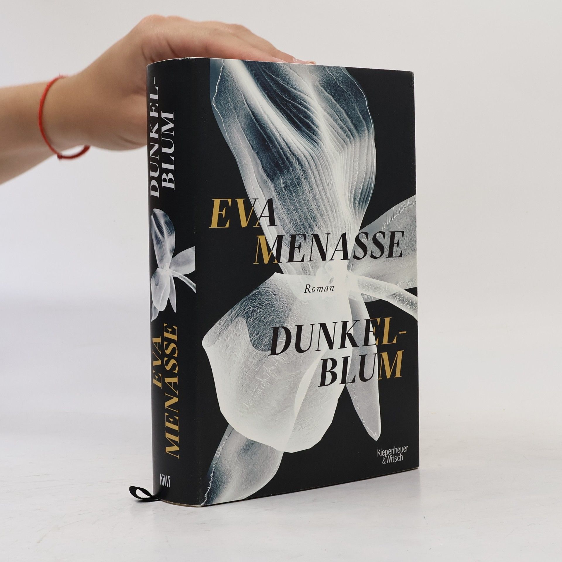 Eva Menasse Dunkelblum