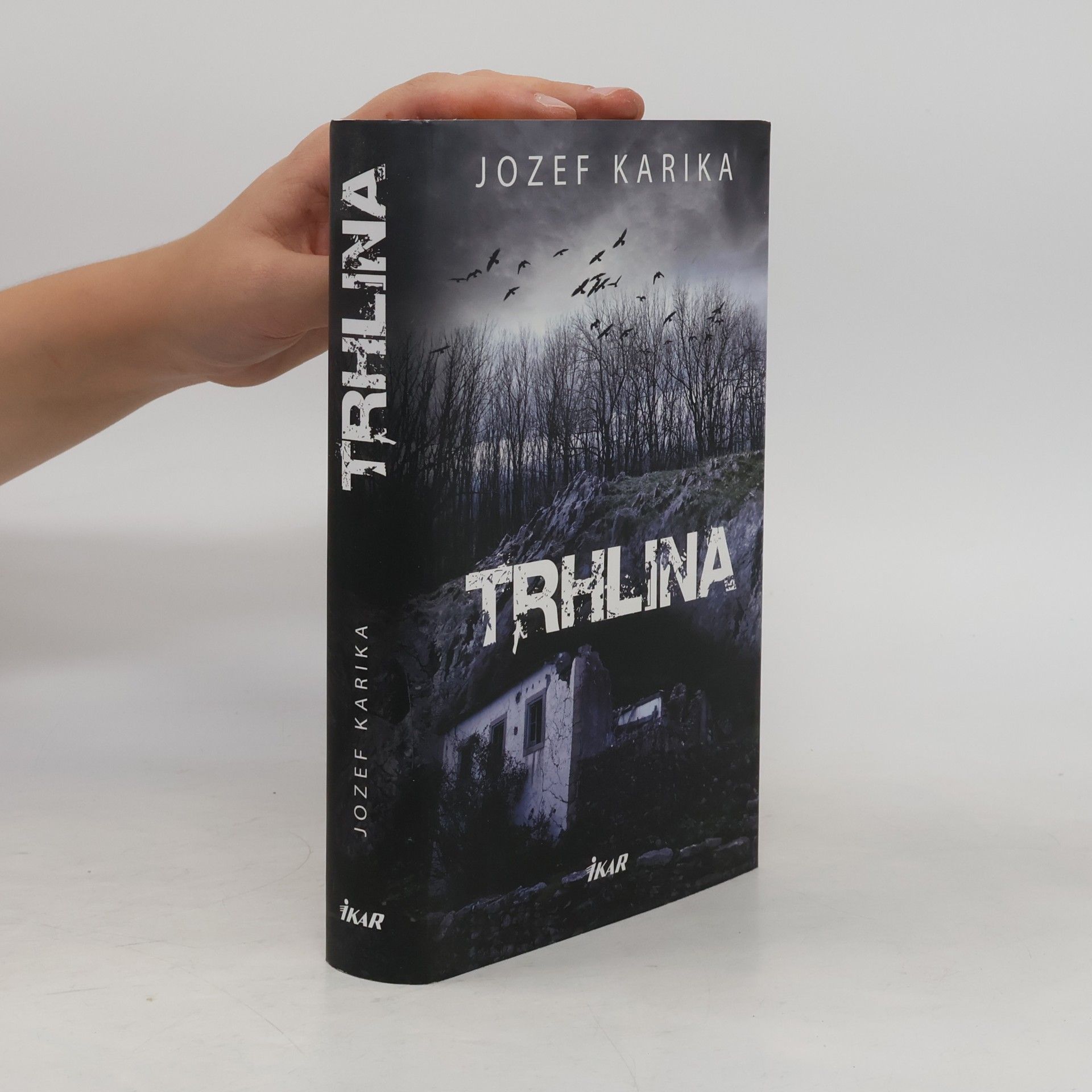 Jozef Karika Trhlina