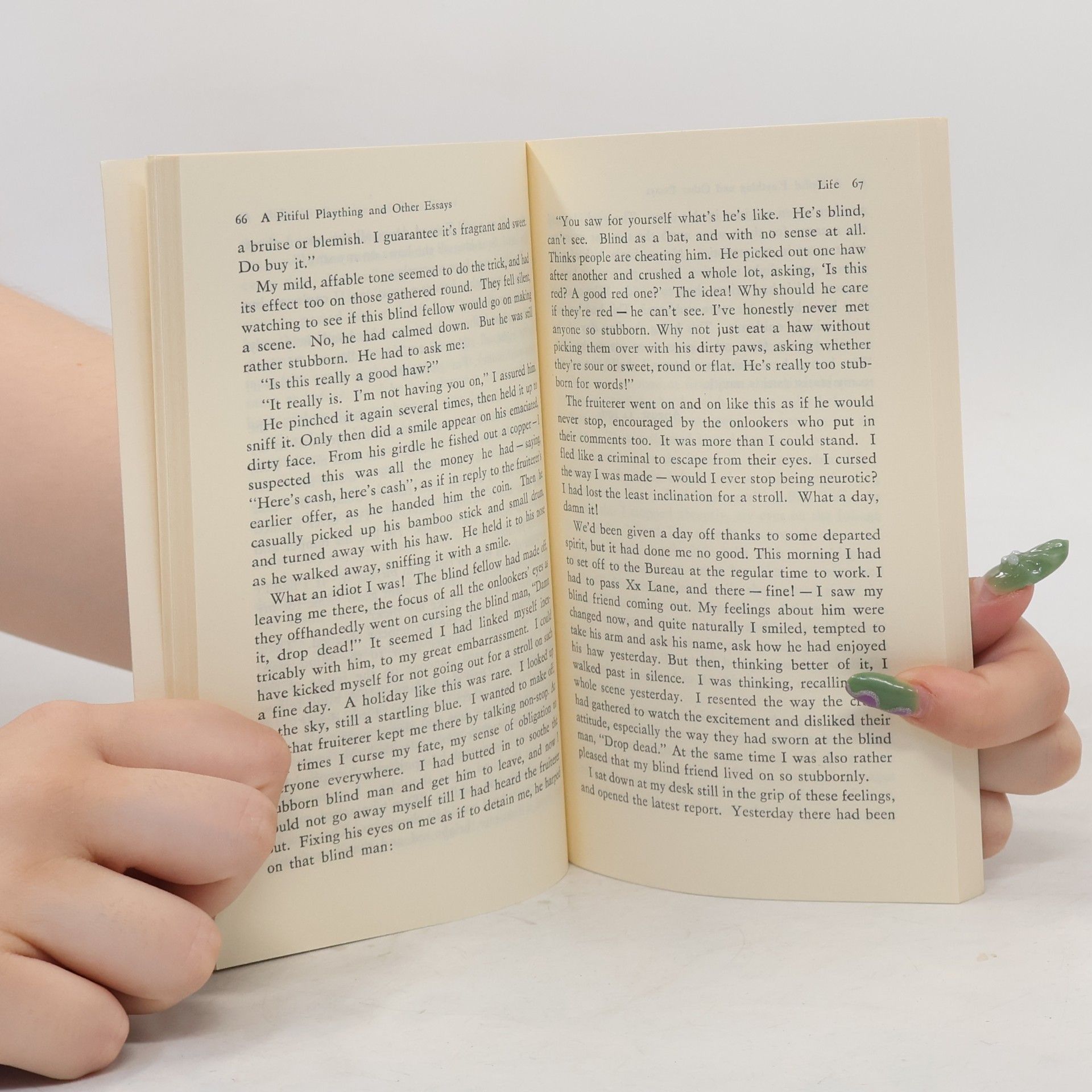 Li Guangtian A Pitiful Plaything and Other Essays