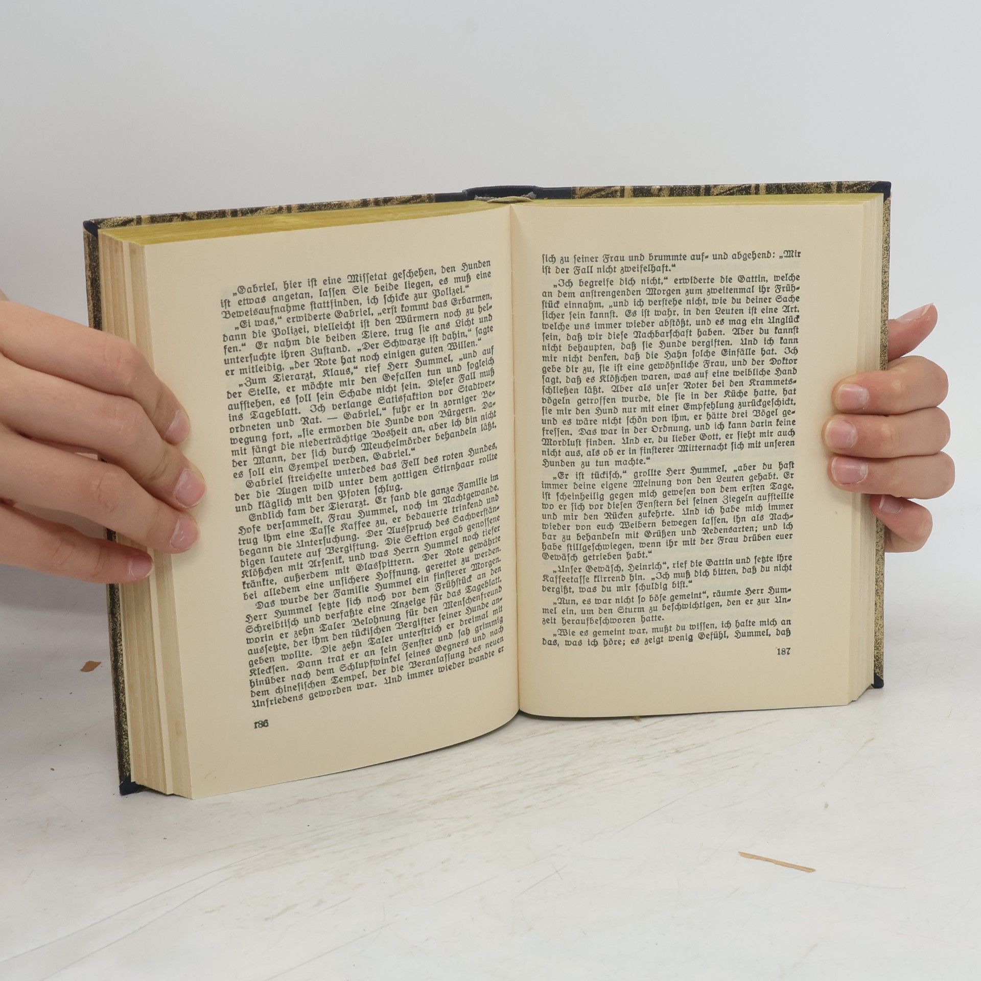 Gustav Freytag Die verlorene Handschrift