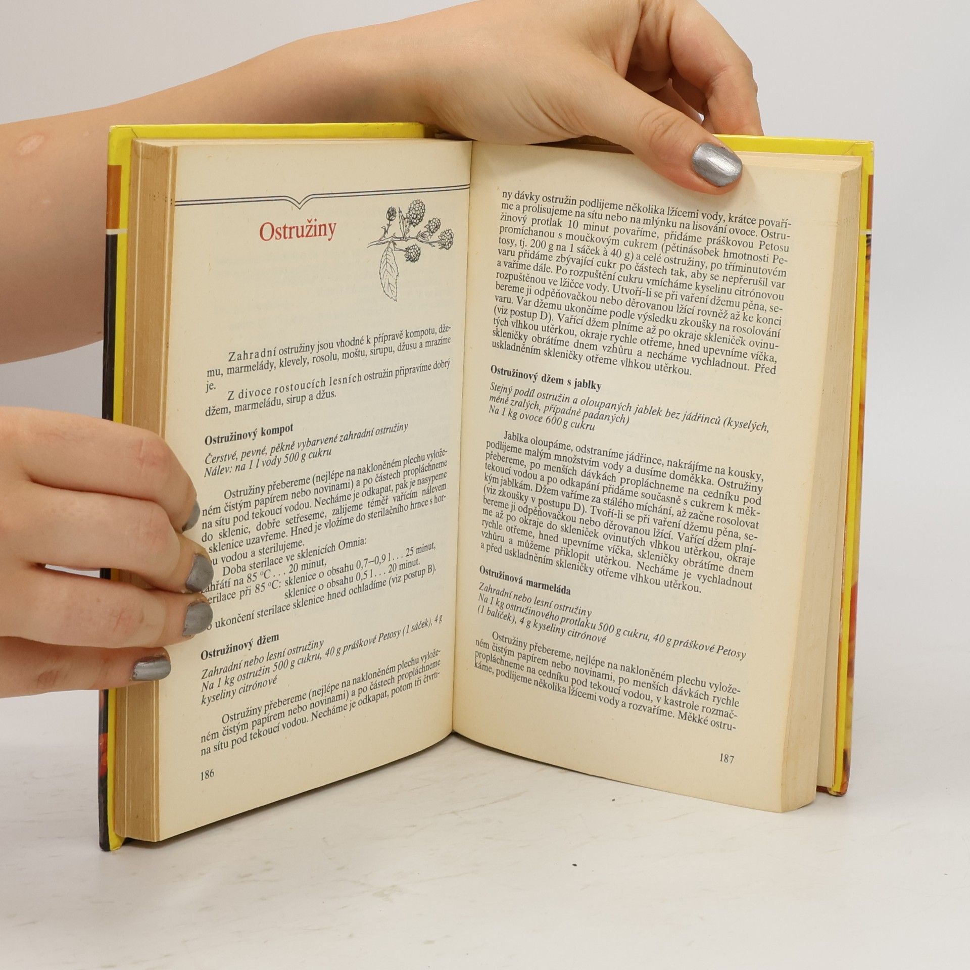 Autorenkollektiv Domácí konzervování ovoce a zeleniny