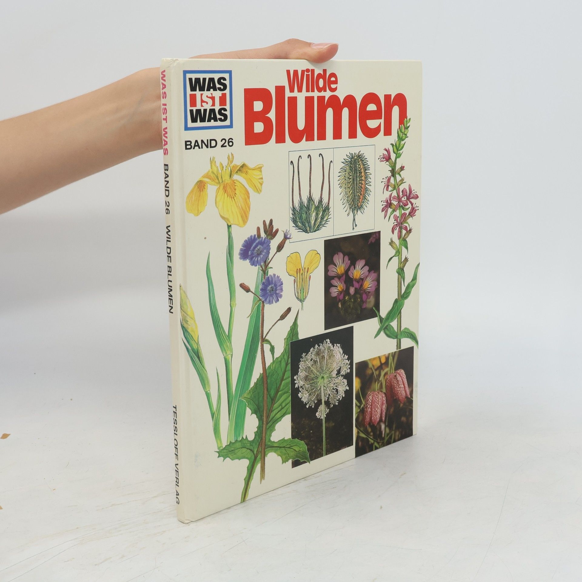Andreas Zeugner Wilde Blumen 26