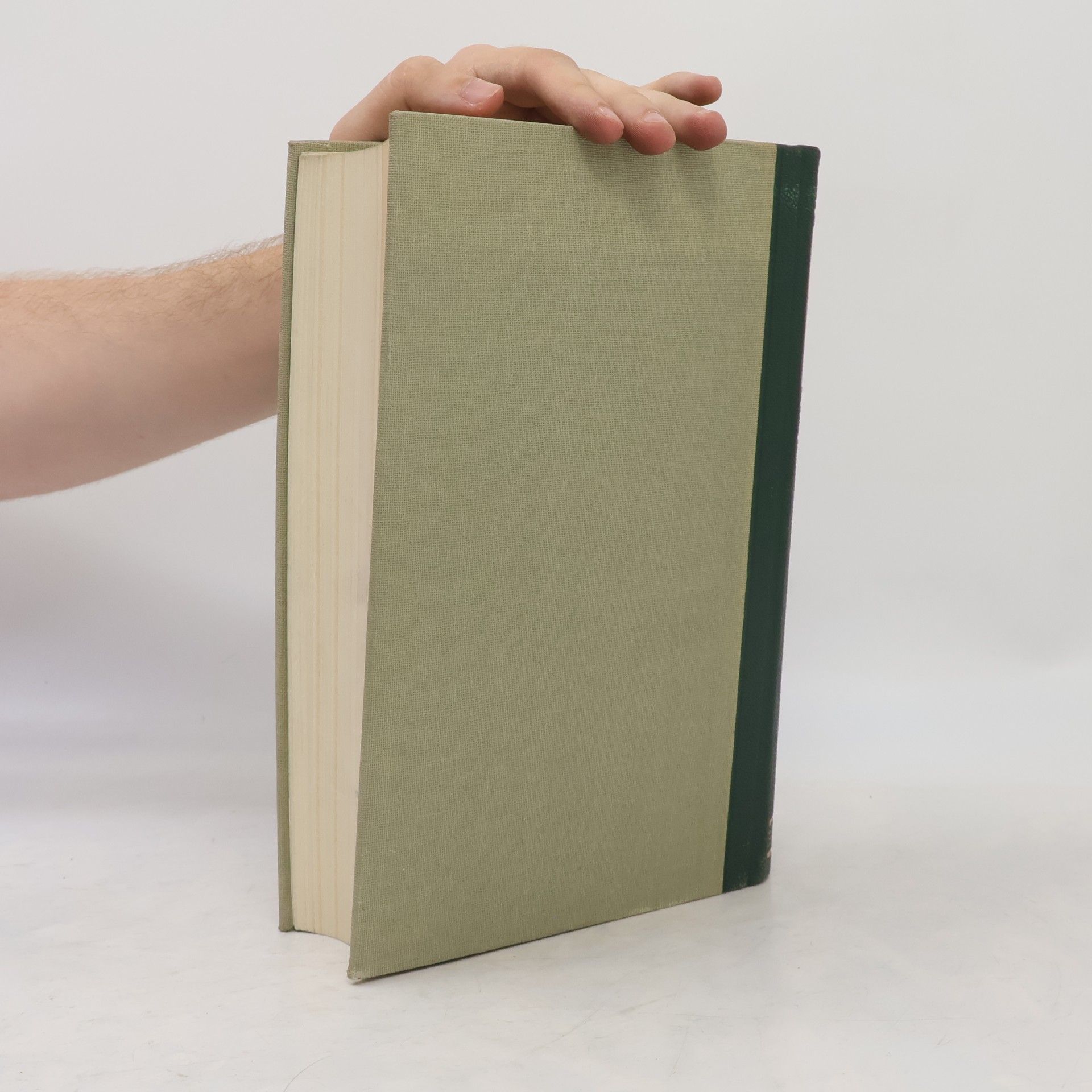 Heinrich Lützeler Weltgeschichte der Kunst