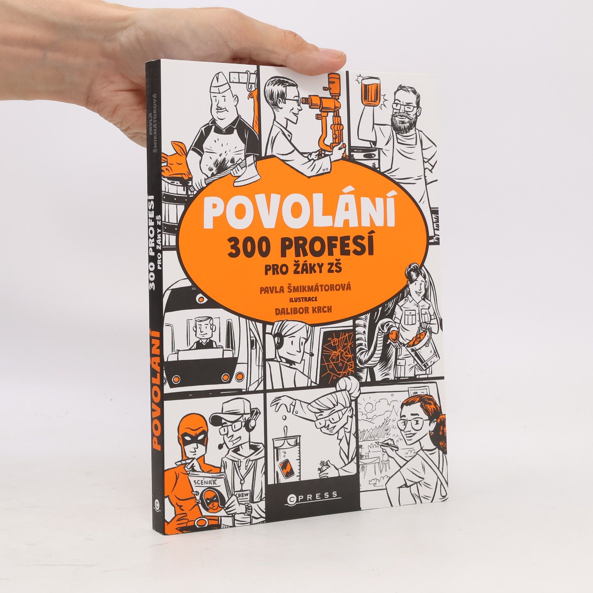 Pavla Šmikmátorová Povolání