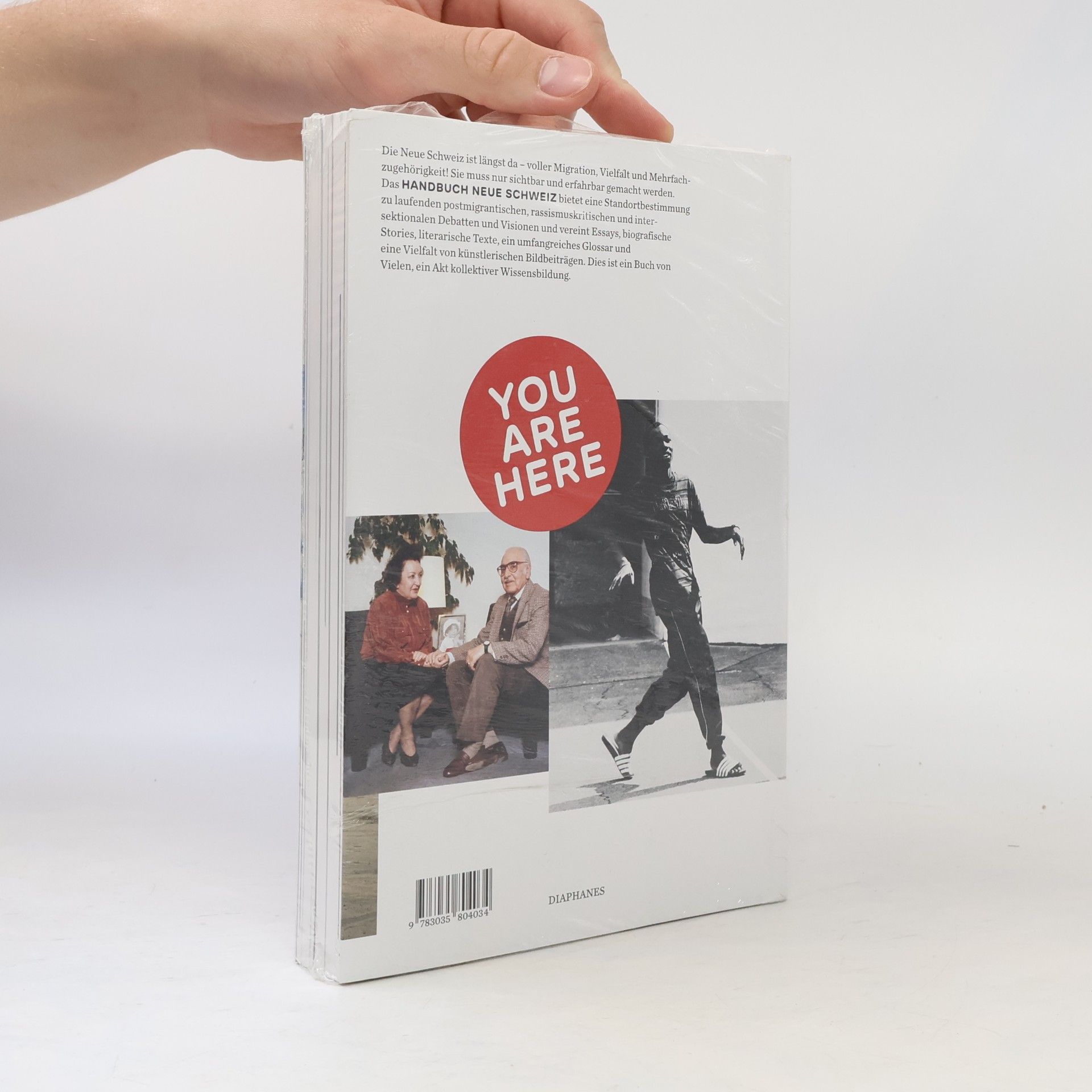INES Institut Neue Schweiz Handbuch Neue Schweiz