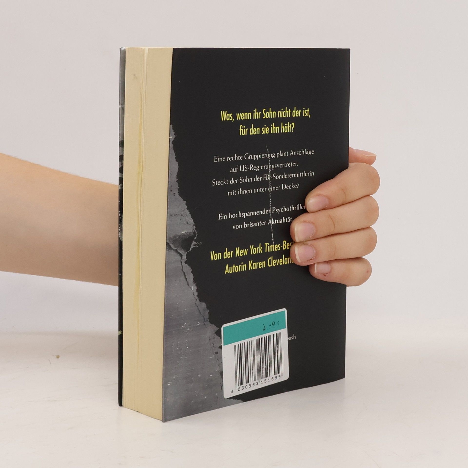 Karen Cleveland Eine Frage der Sicherheit