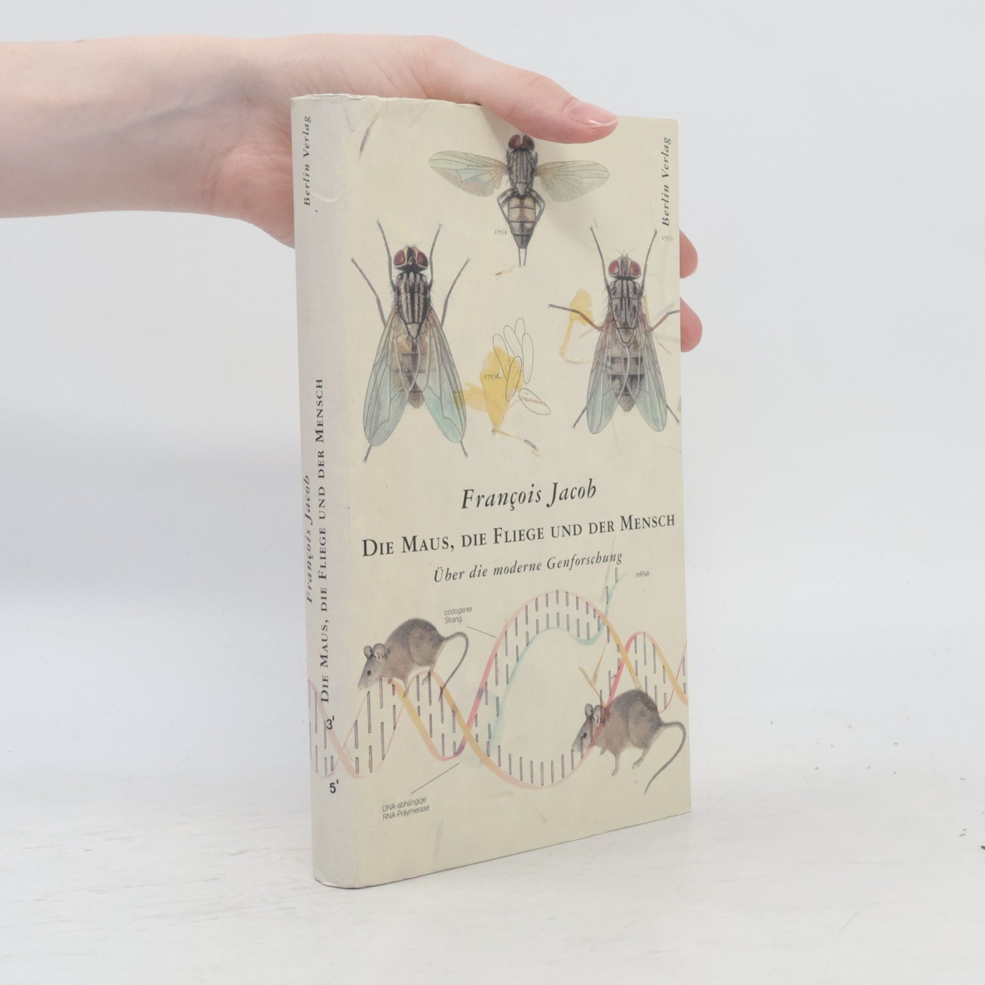 François Jacob Die Maus, die Fliege und der Mensch