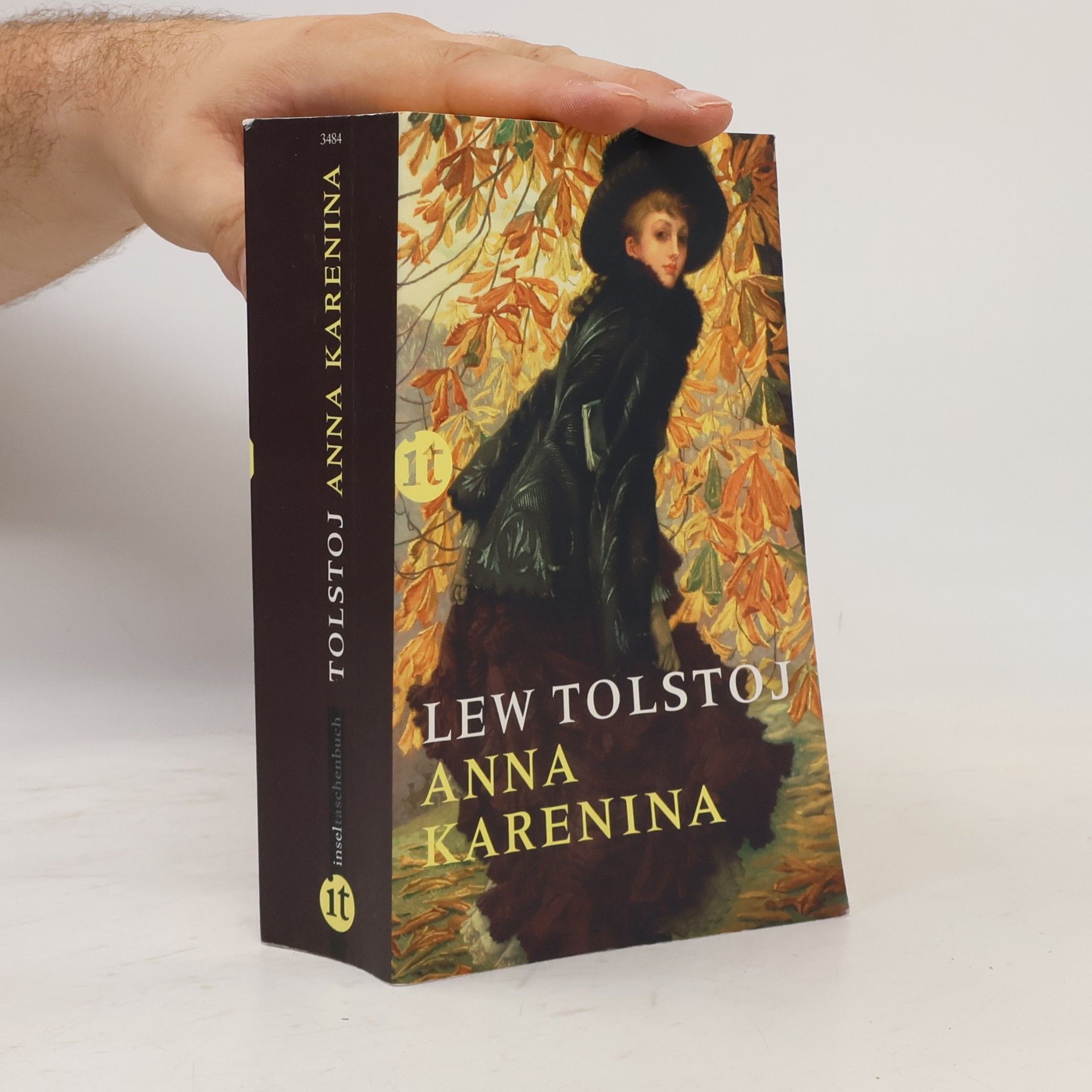 Lew Nikolajewitsch Tolstoi Anna Karenina