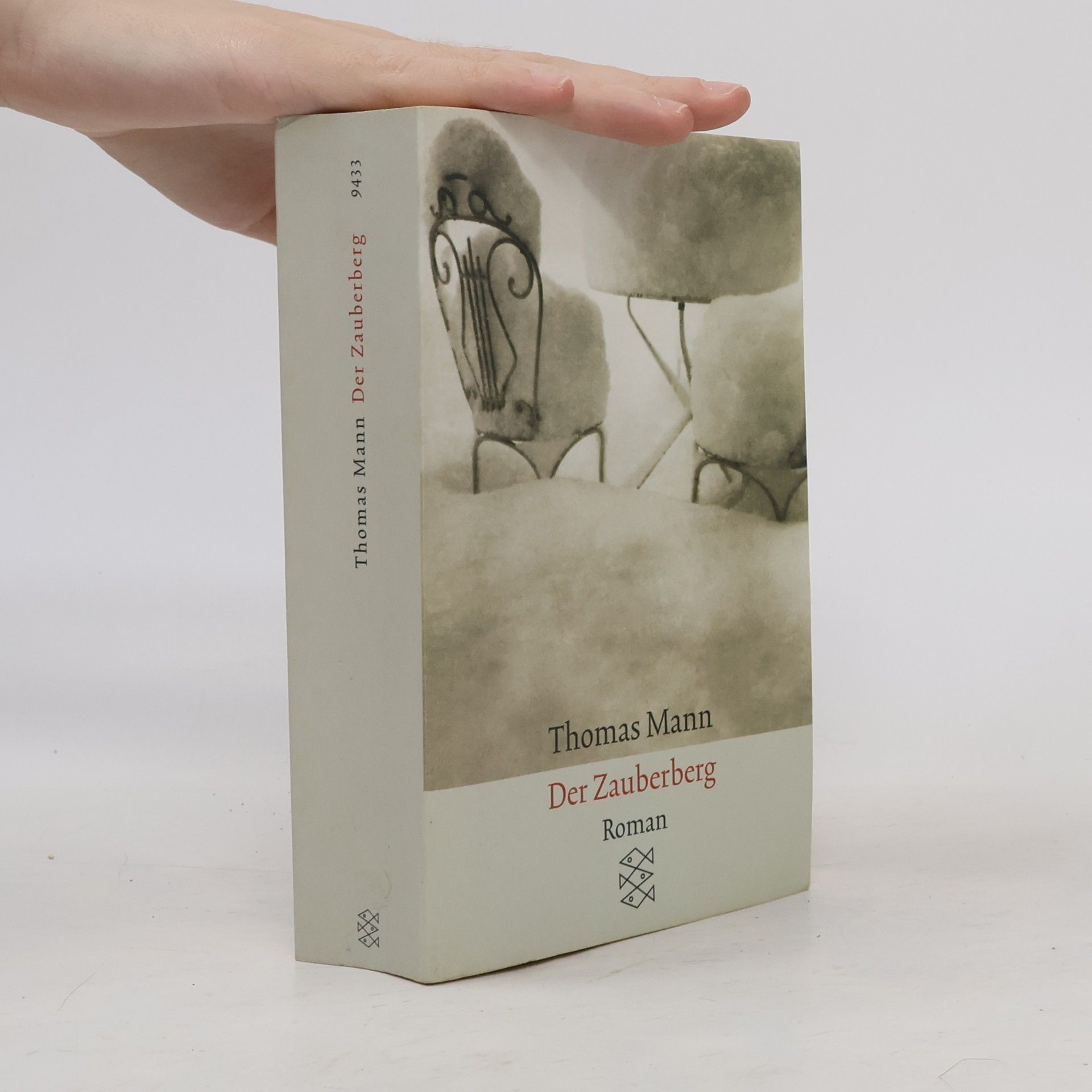 Thomas Mann Der Zauberberg
