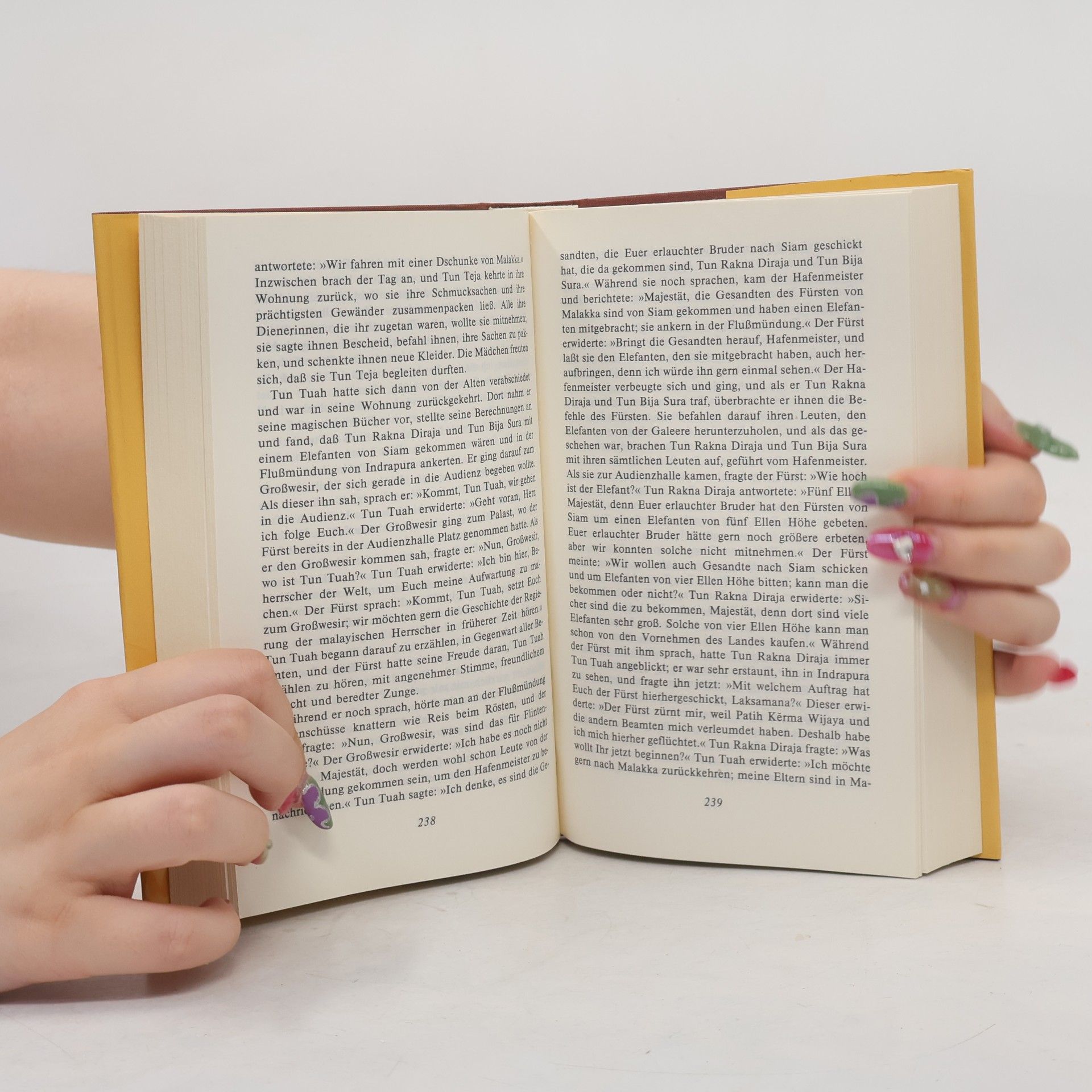 Autorenkollektiv Die Geschichte von Hang Tuah