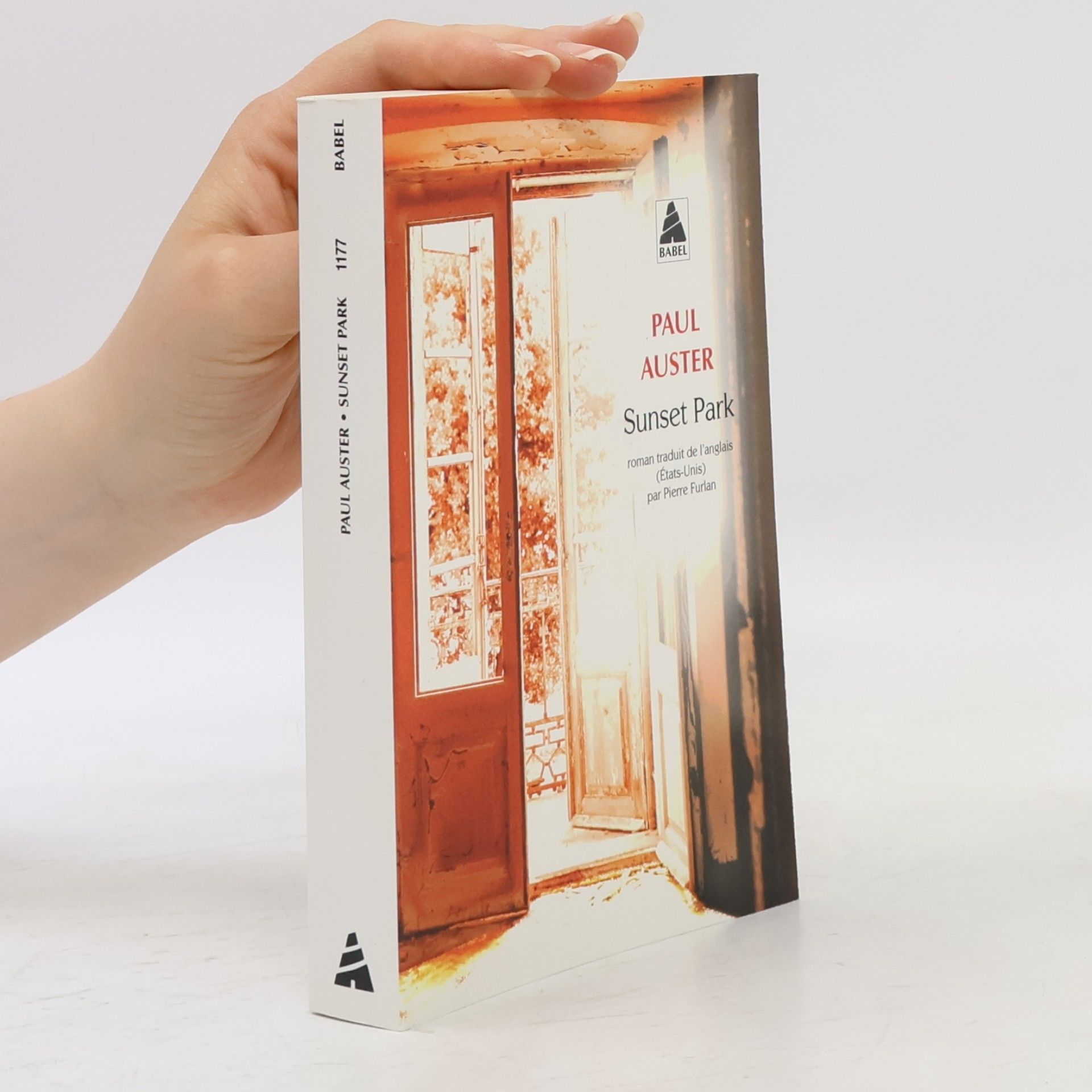 Paul Auster Sunset Park