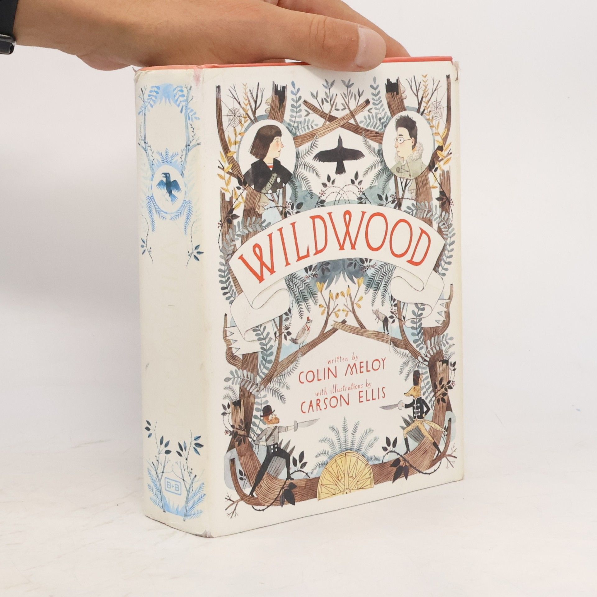 Colin Meloy Wildwood Chronicles - 1: Wildwood