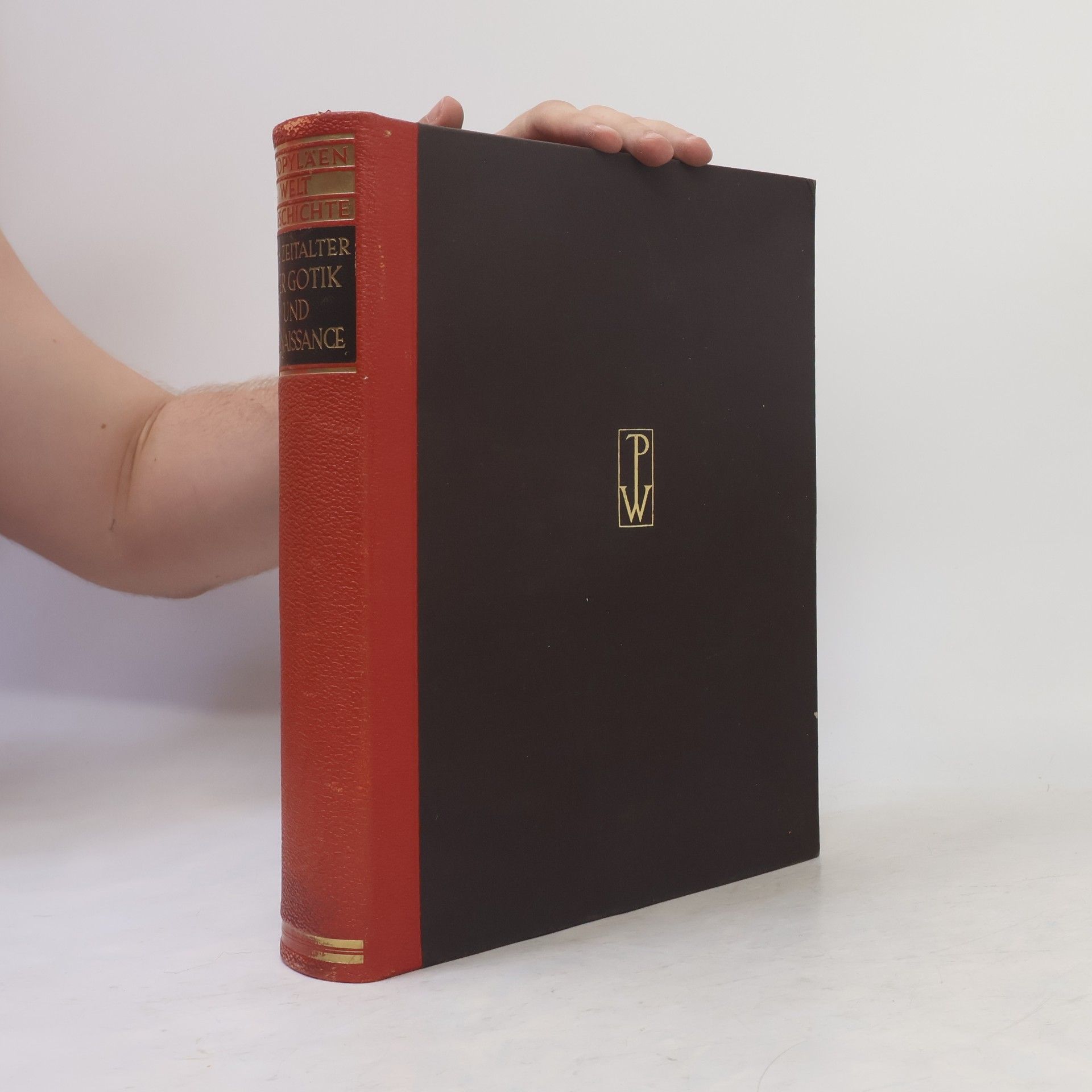 AA.VV. Das Zeitalter der Gotik und Renaissance 1250–1500
