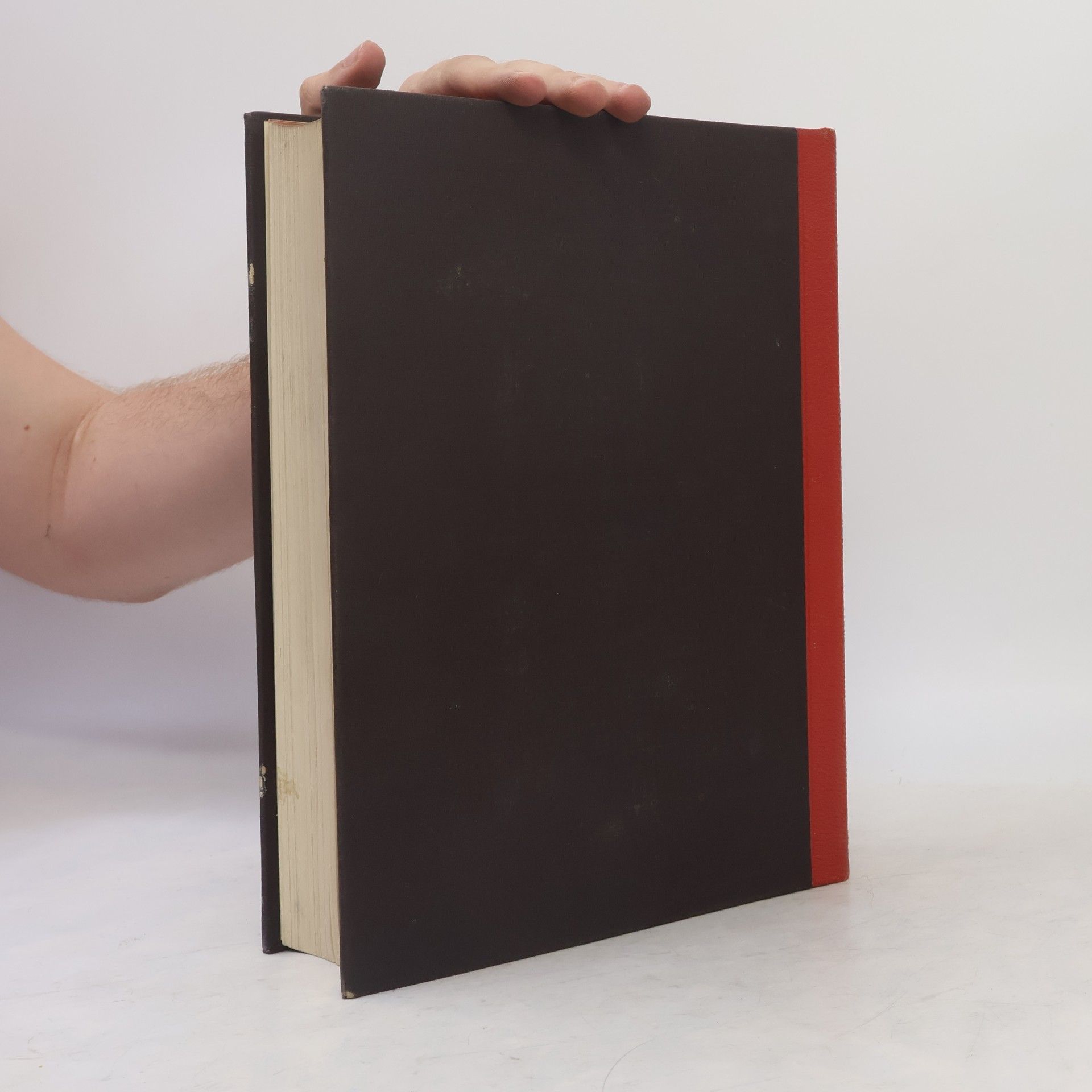AA.VV. Das Zeitalter der Gotik und Renaissance 1250–1500