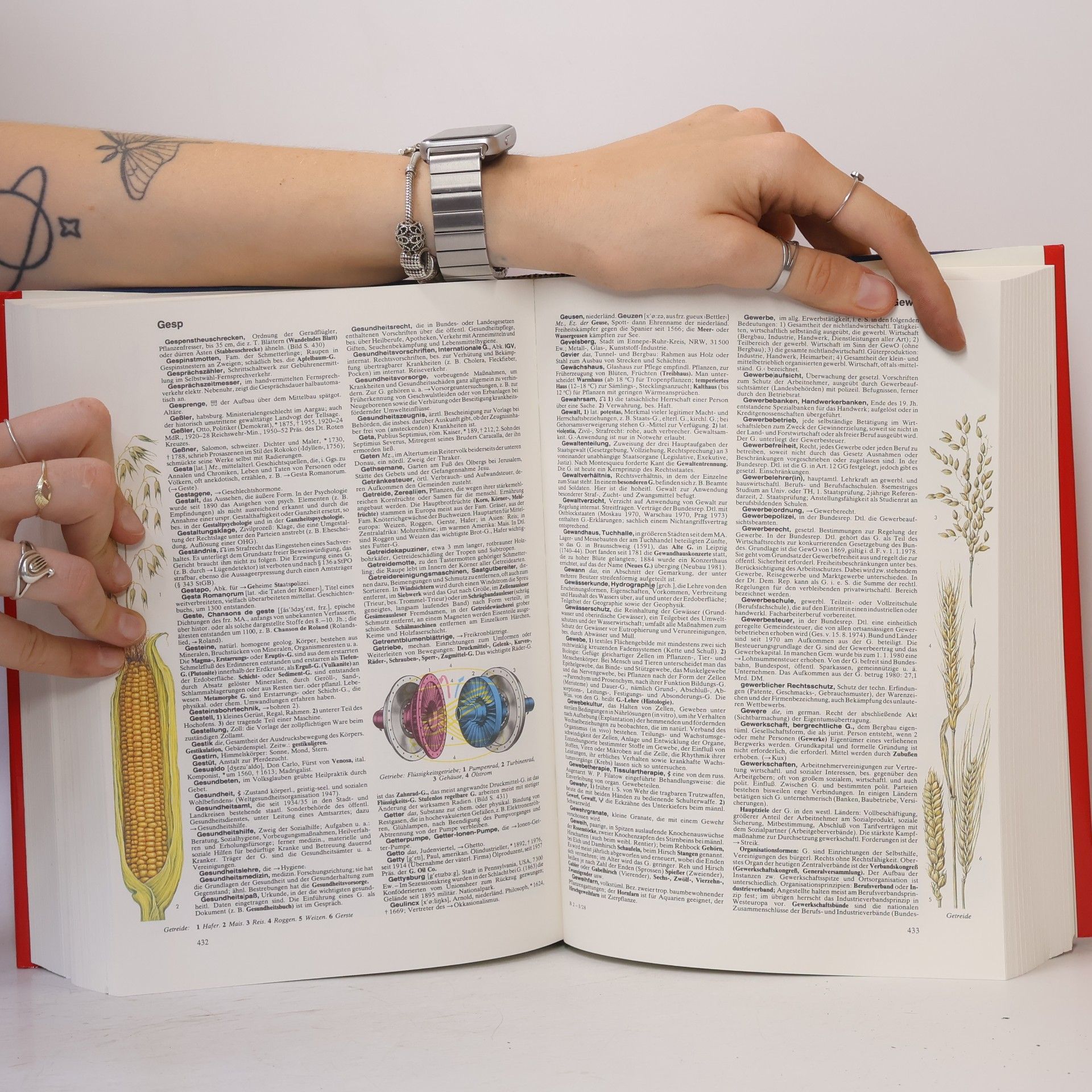 Autorenkollektiv Der Brockhaus