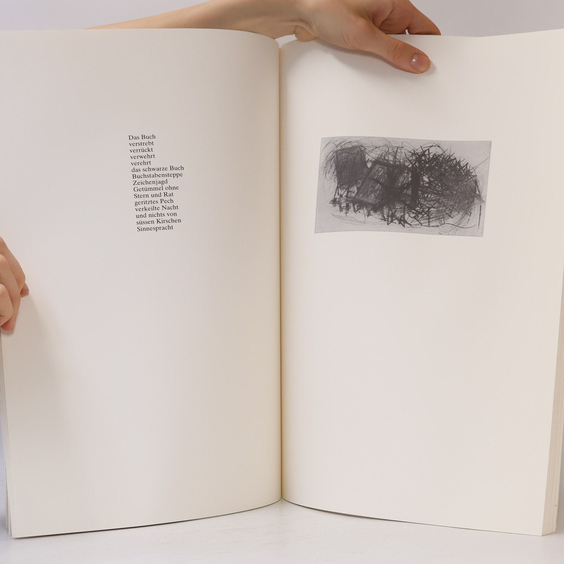 Regine Walter Les mots / morts