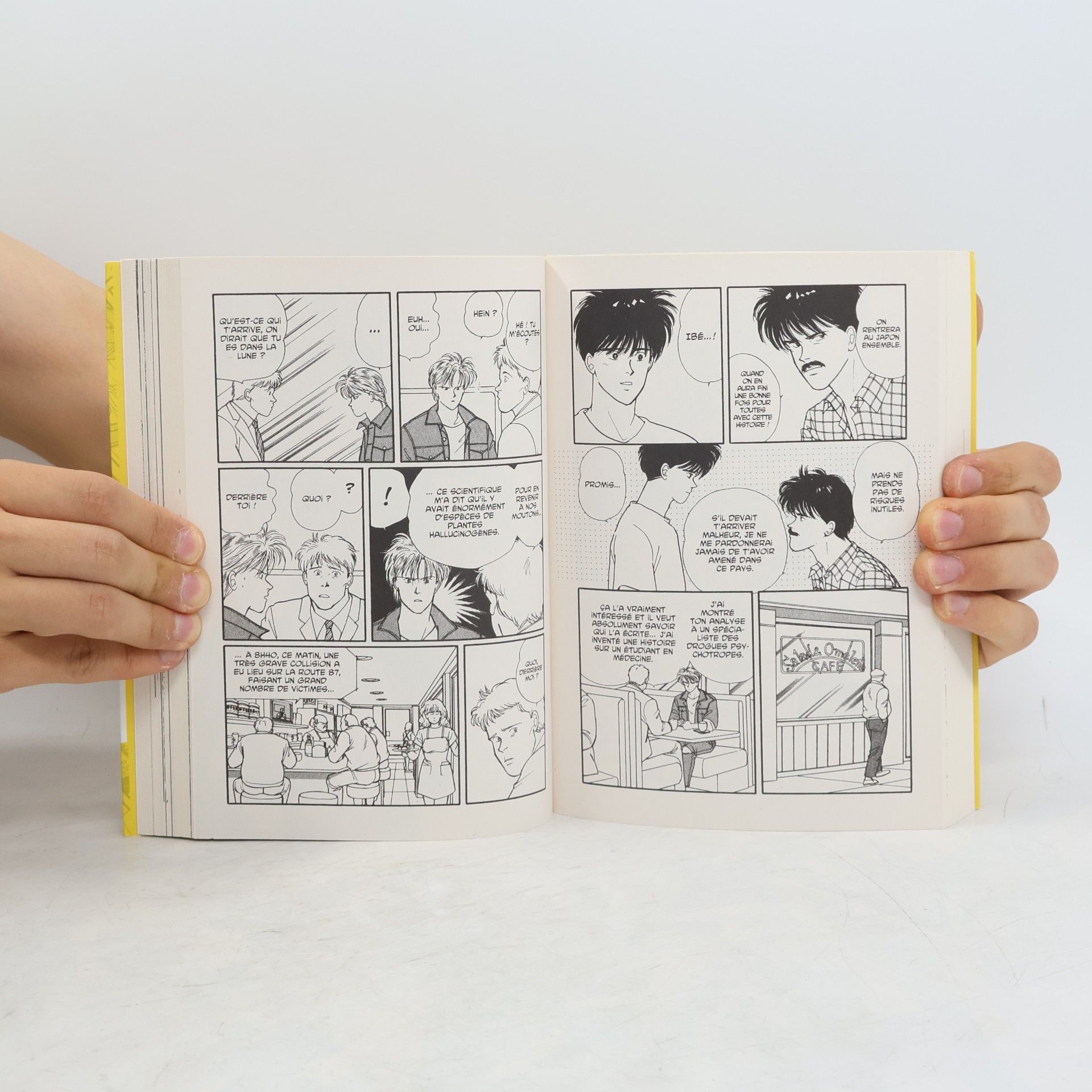 Akimi Yoshida Banana Fish Perfect Edition
