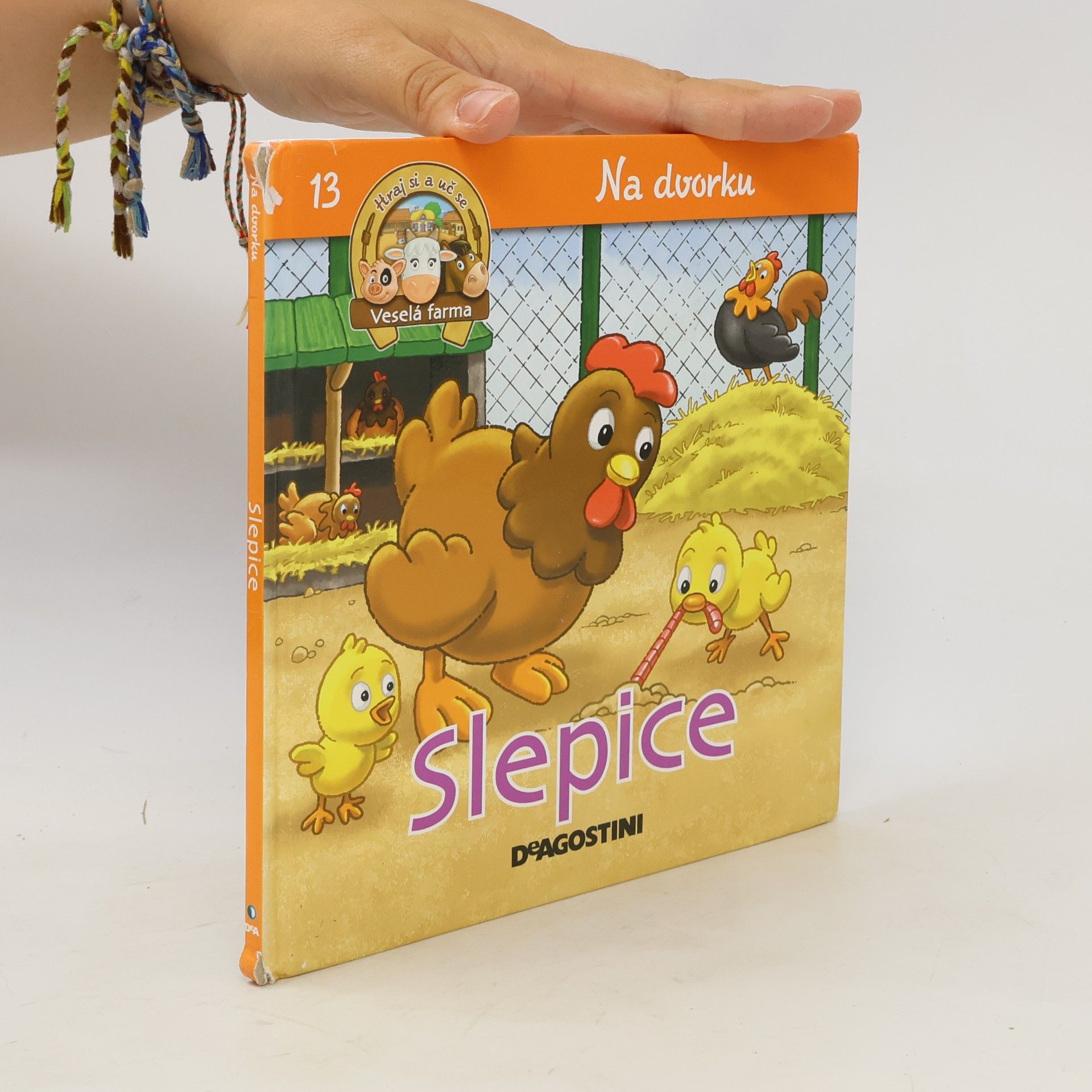 Autorenkollektiv Na dvorku 13. Slepice