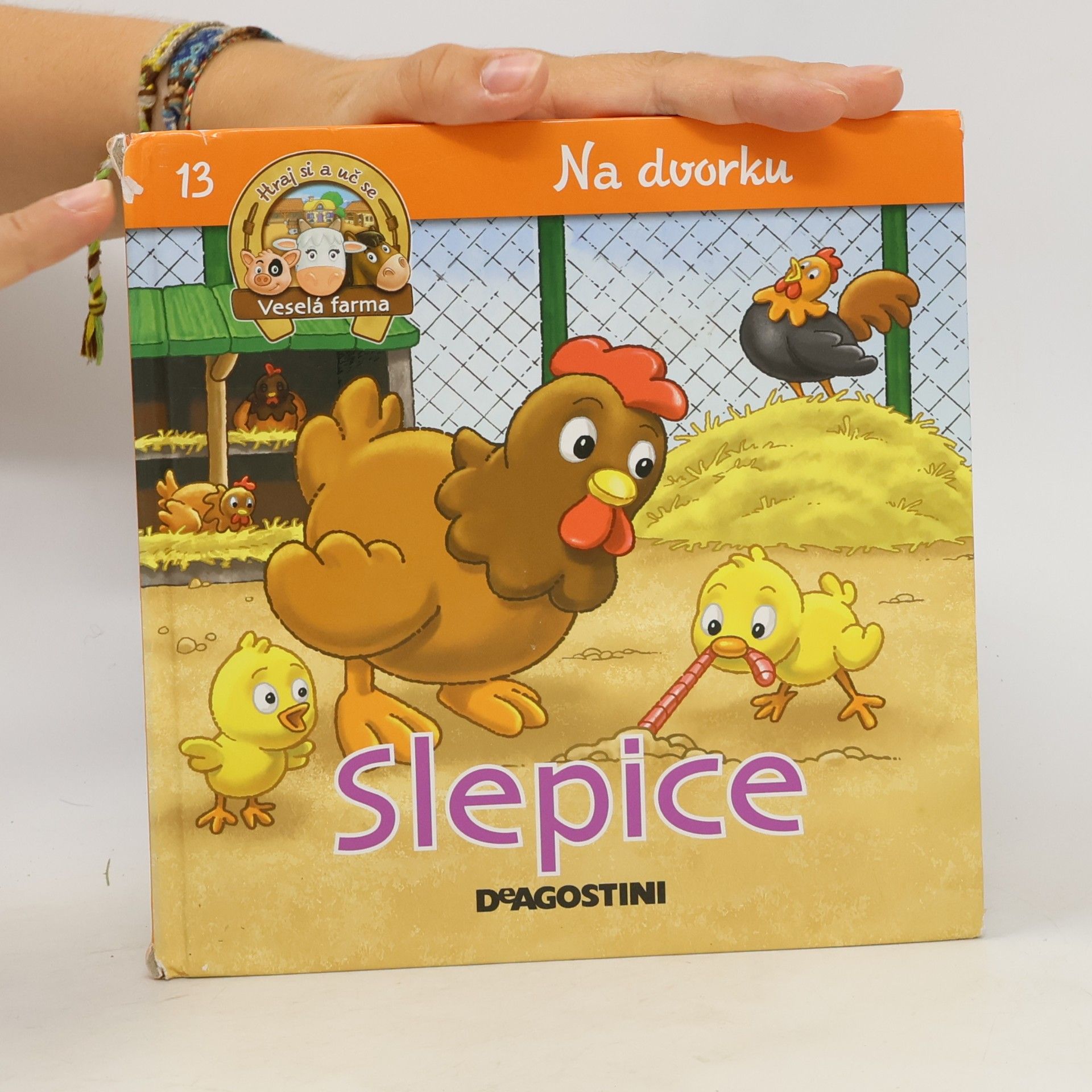 Autorenkollektiv Na dvorku 13. Slepice